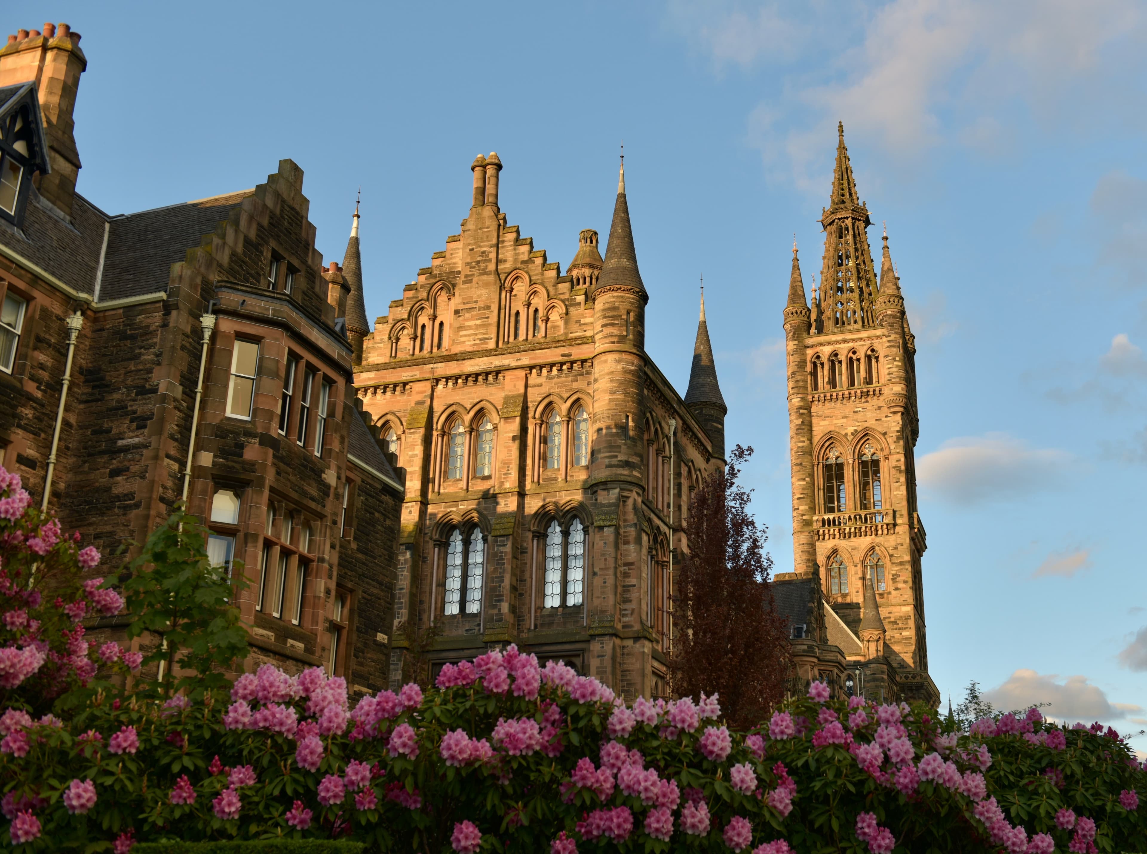A brown antique castle-like building with a pink and green rose tree in Glasgow, Scotland.