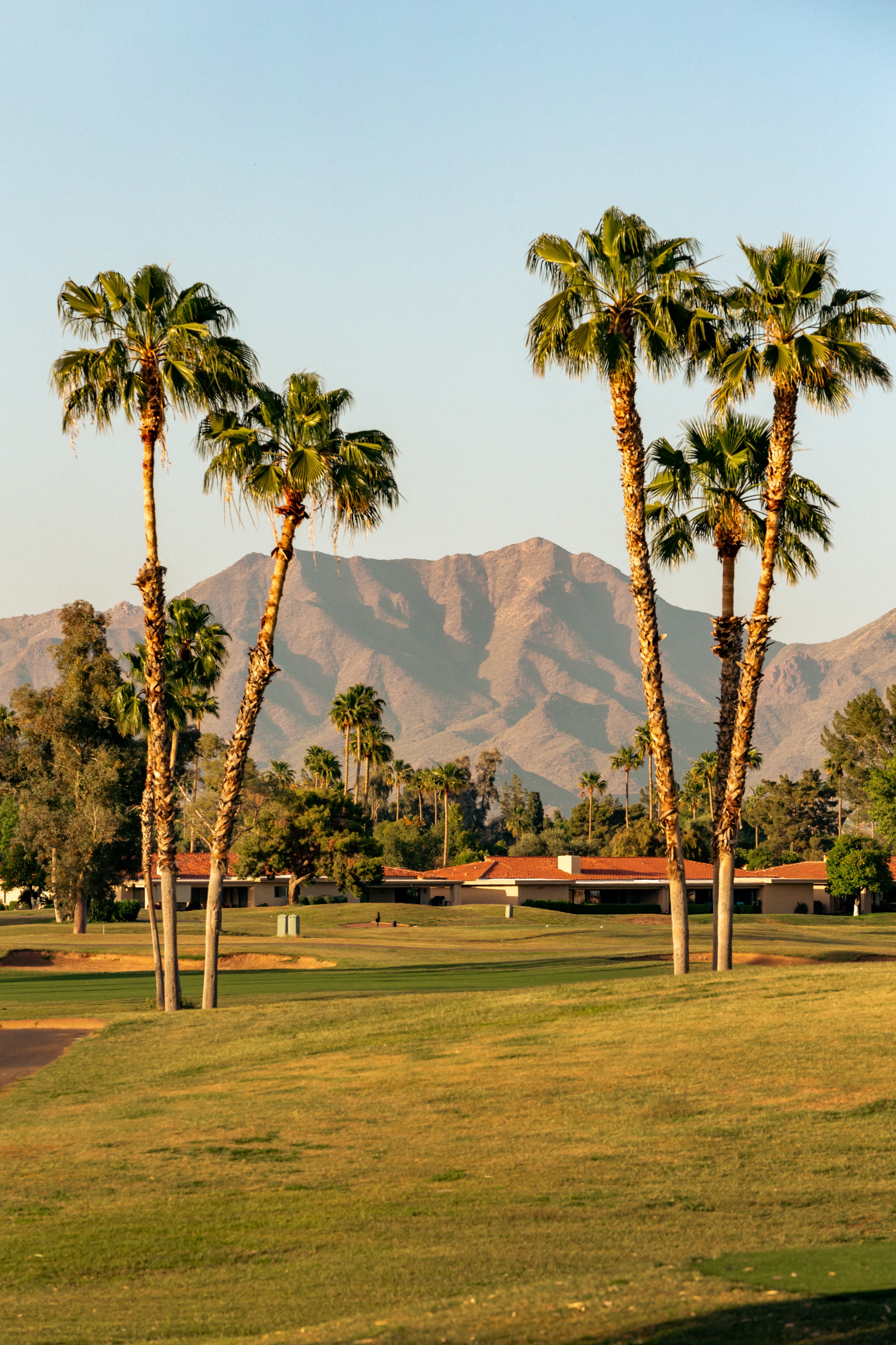 Golf course with palm trees with mountains in the background on a sunny day