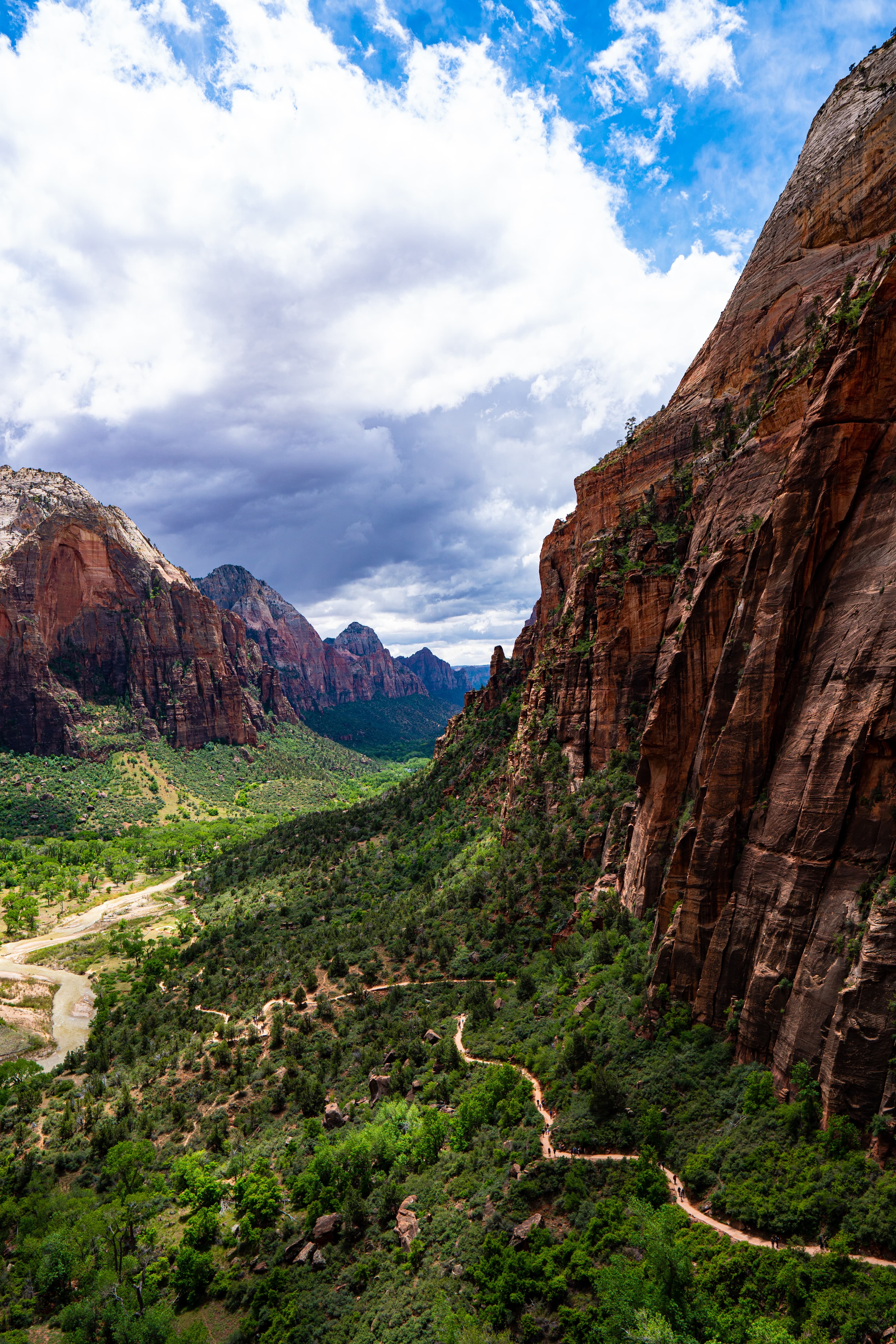 View of a trail and the road in Zion National Park