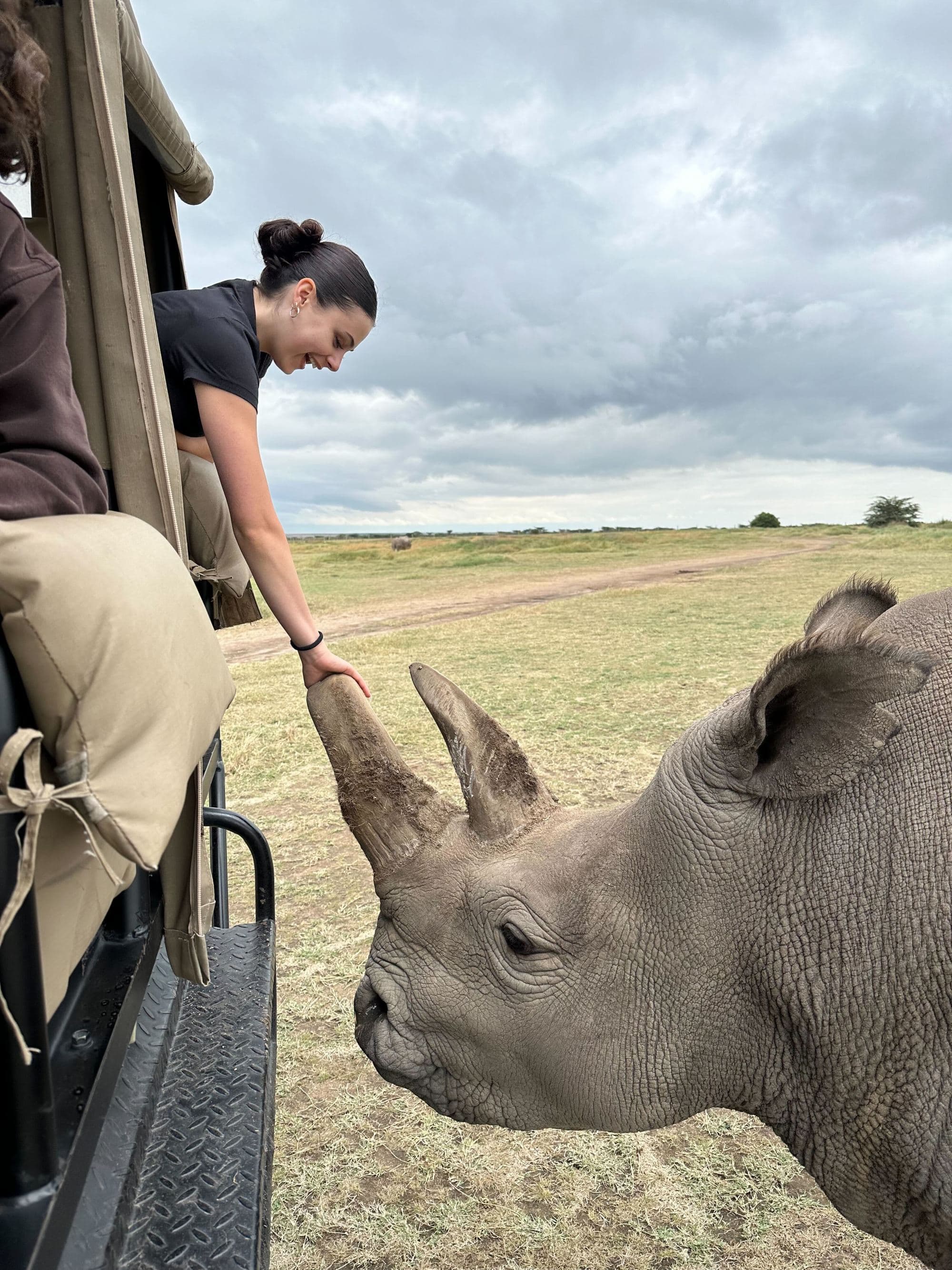 A young woman leans out of a safari vehicle to touch a rhino's horn