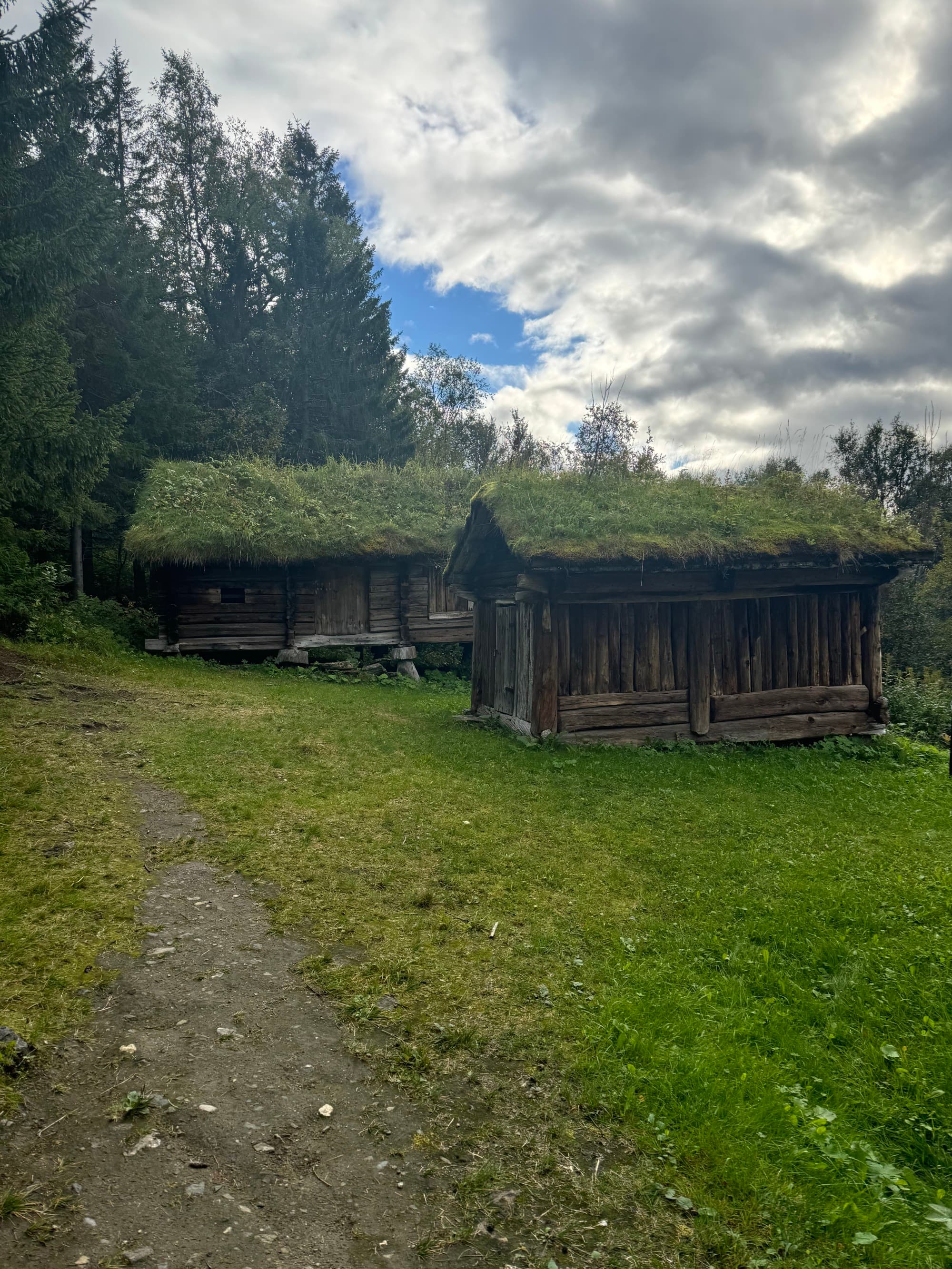 A field of grass during a cloudy day with small, wooden buildings covered with grass-covered roofs