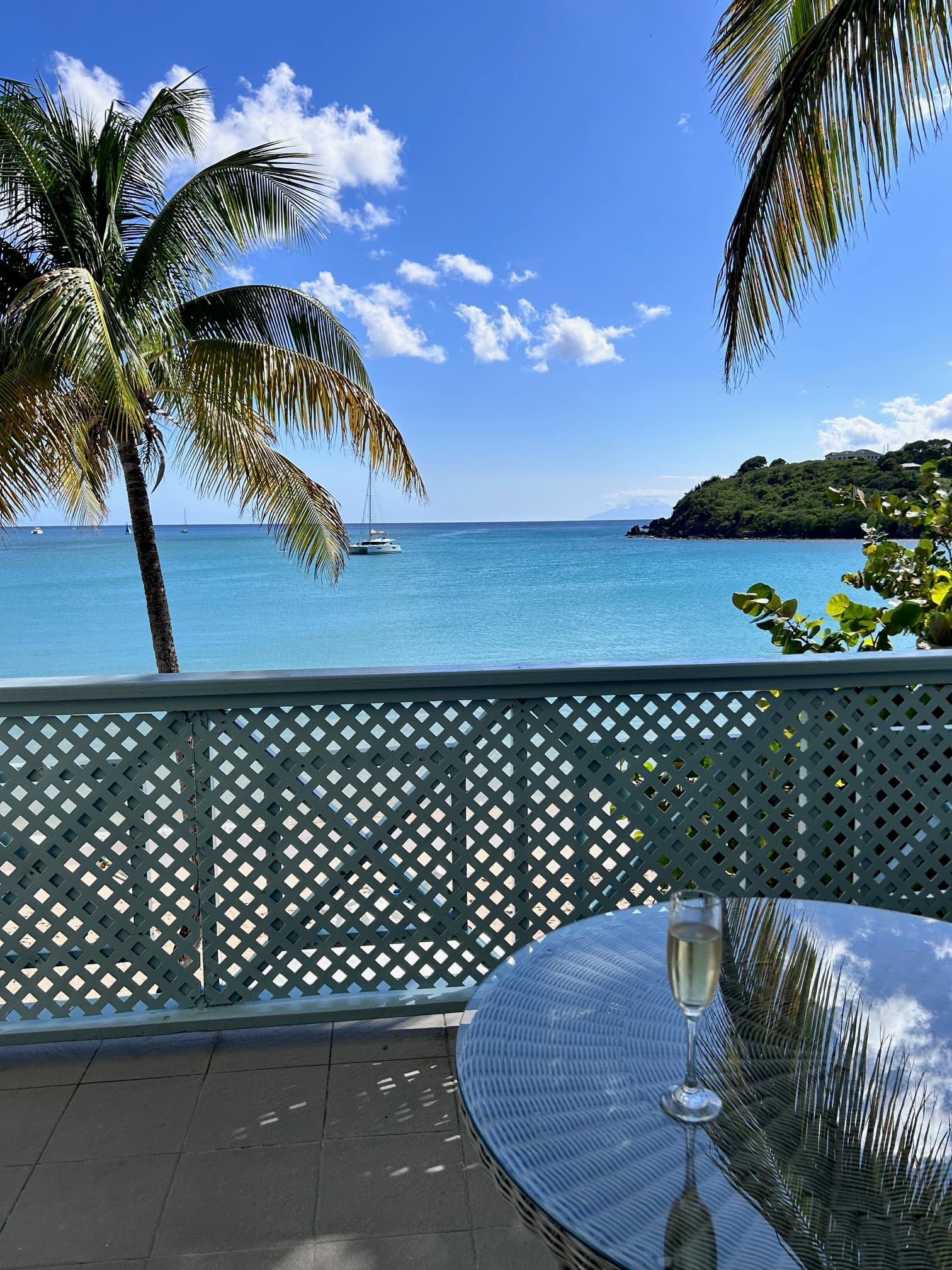 A balcony view of the sea with two palm trees at the forefront