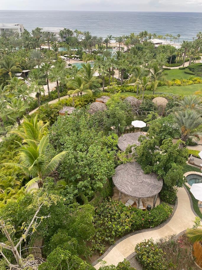Aerial view from a hotel room of a tree and field-covered resort area