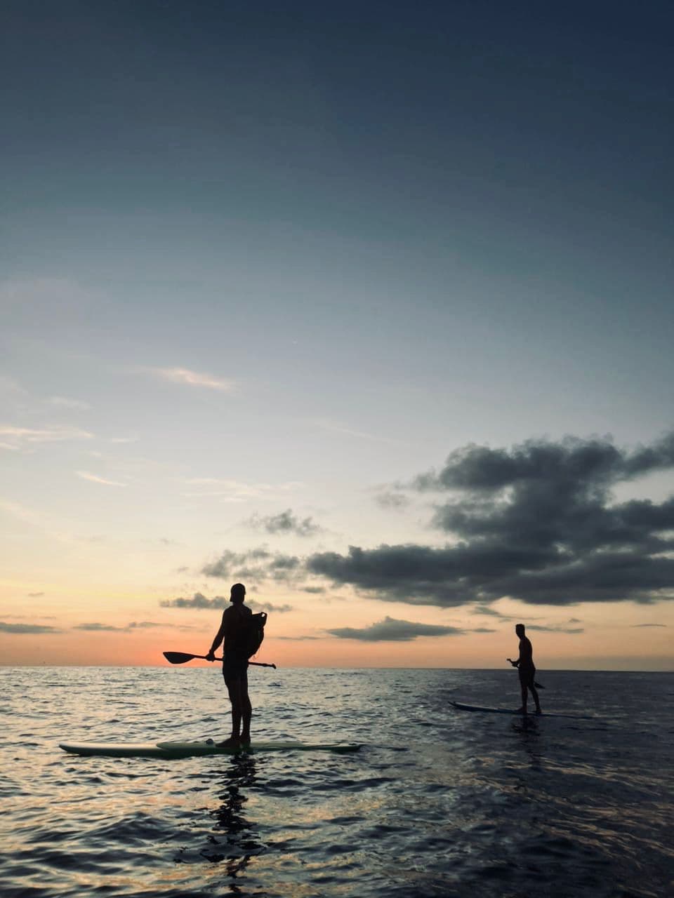 Two people on paddle boards on the water during the evening