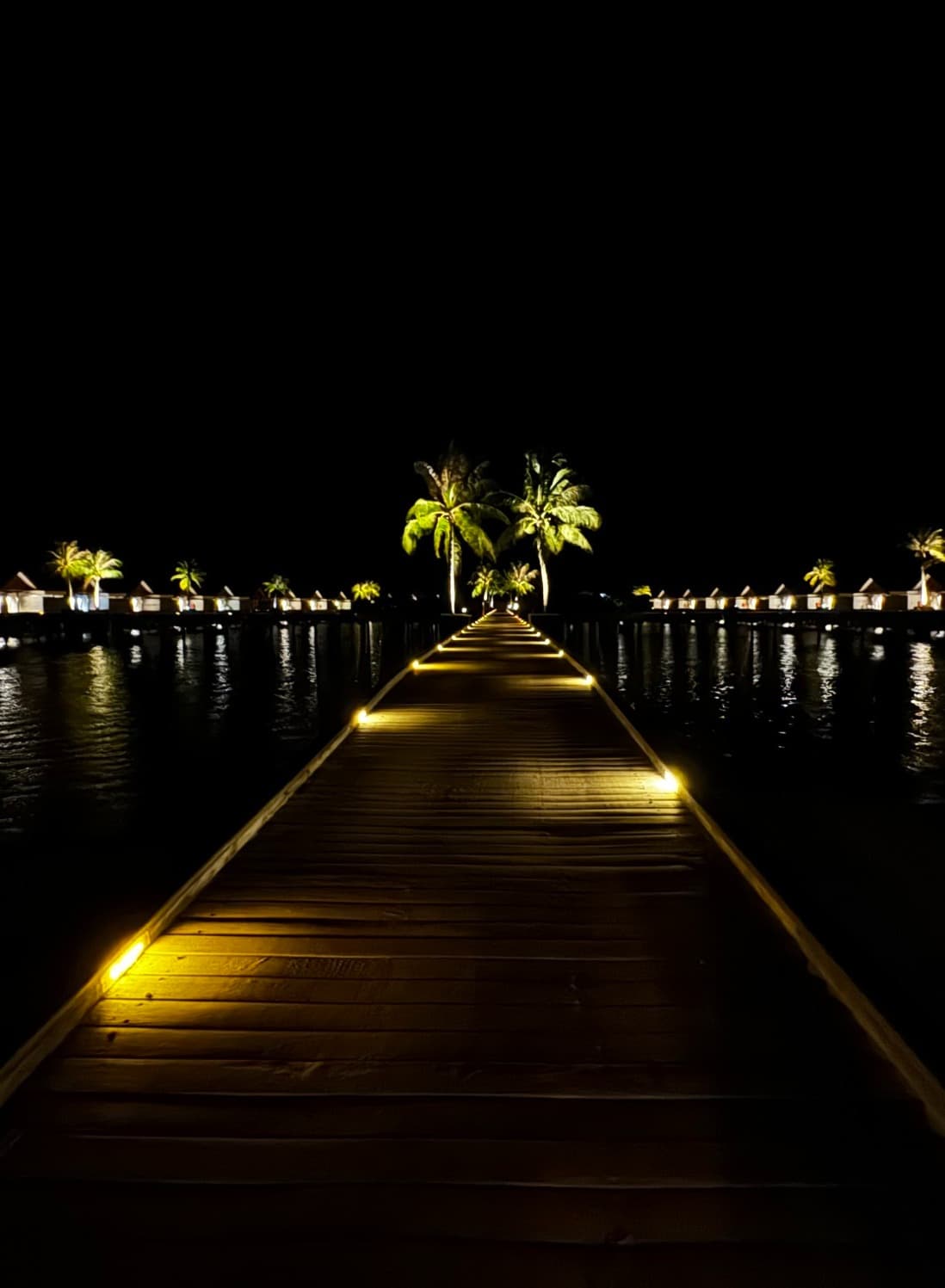 Boardwalk over the ocean at night with lights and palm trees in the back.