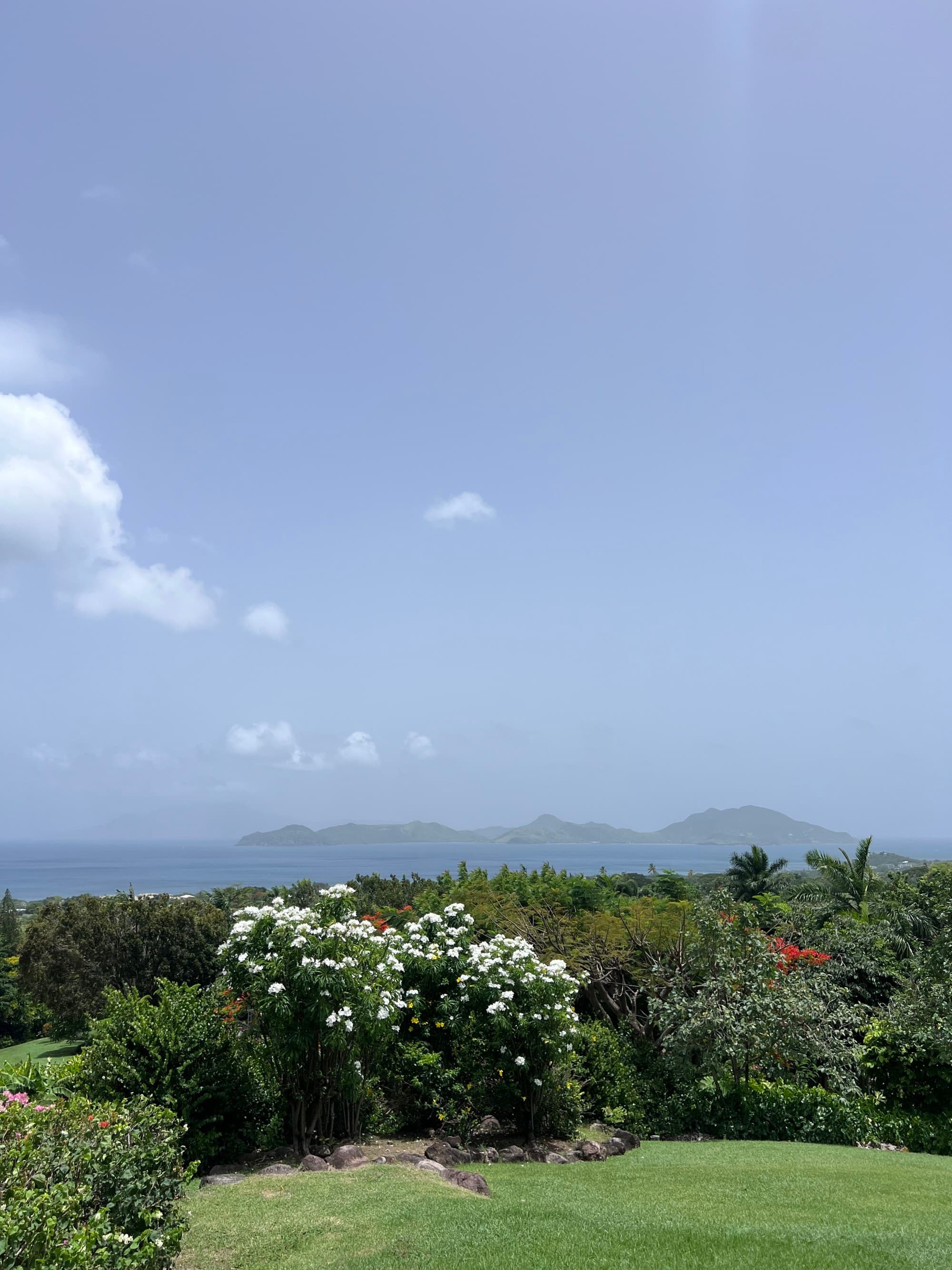 idyllic green landscape dotted with flowers