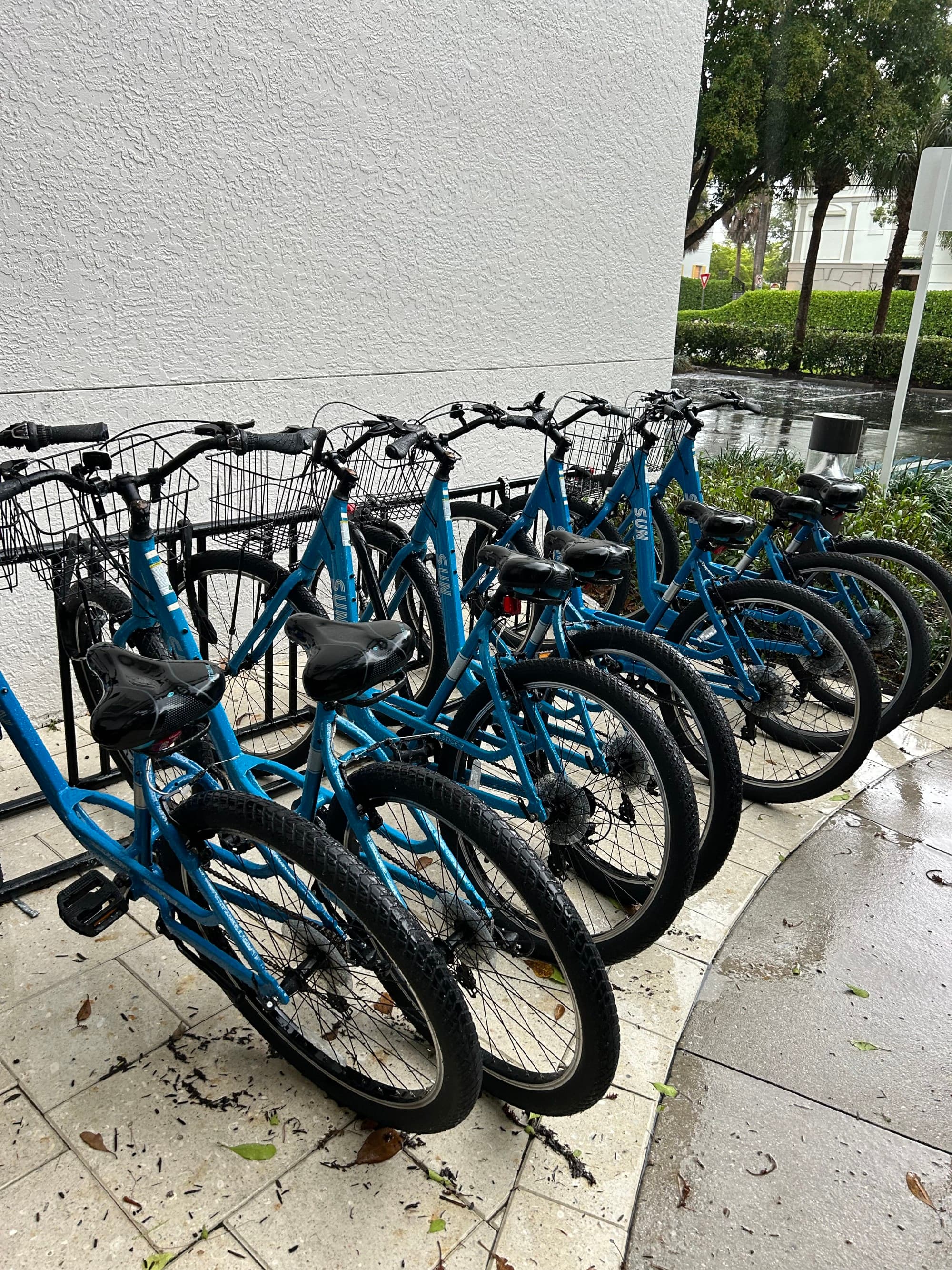 Row of blue bikes parked at a bike rack.