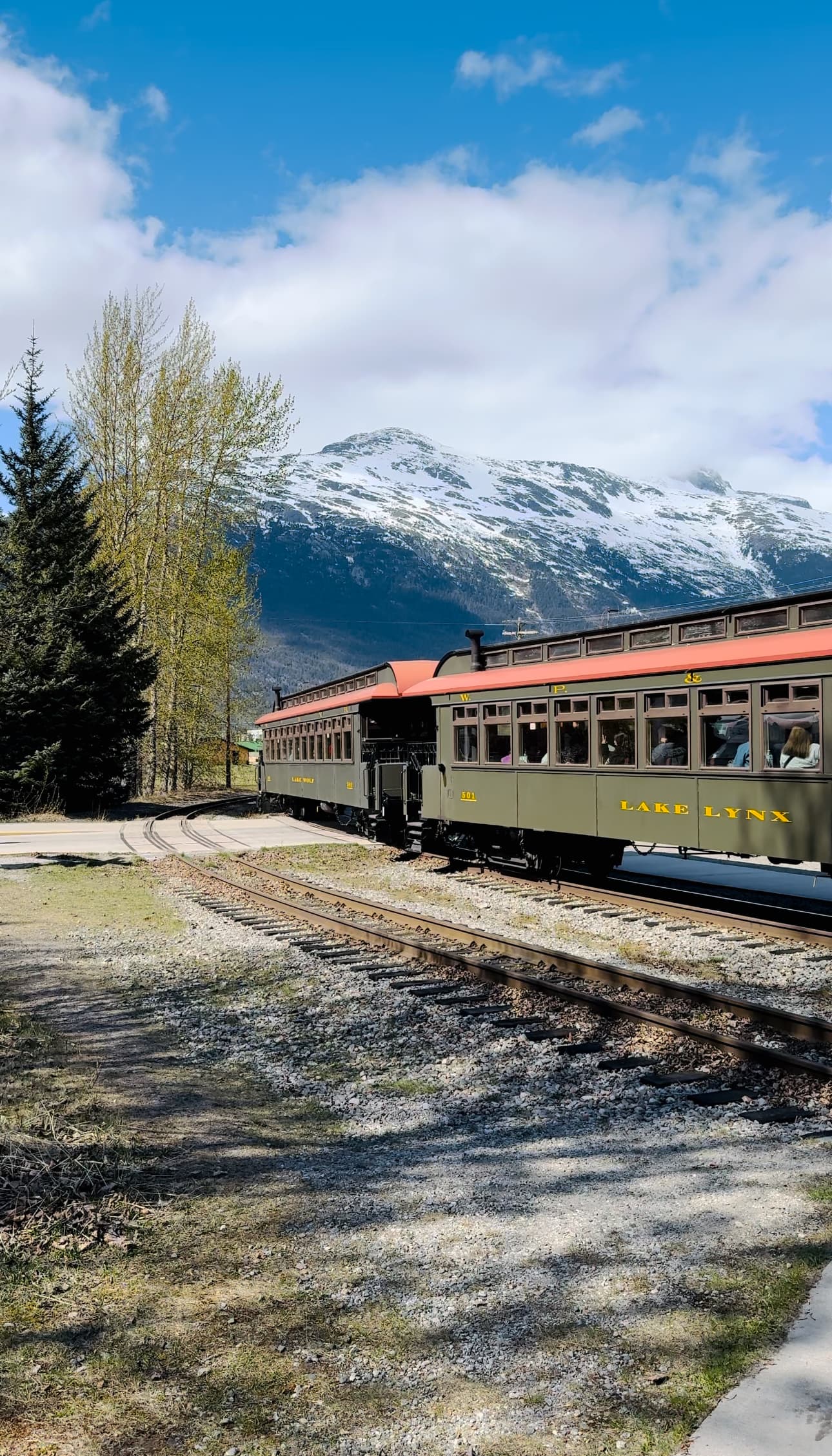 Train with snowy mountains in the background.