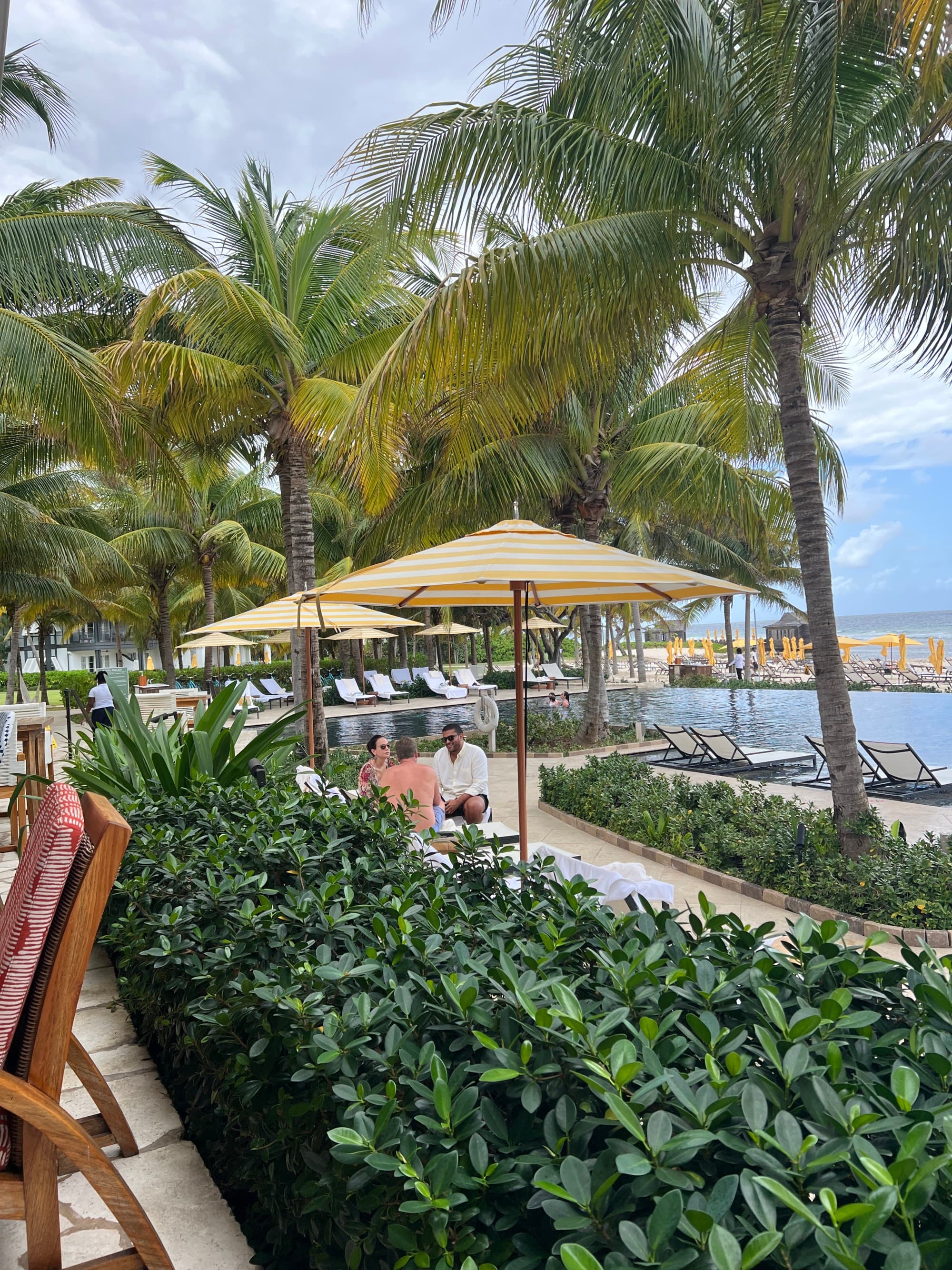 Umbrellas and foliage with pool in the background.
