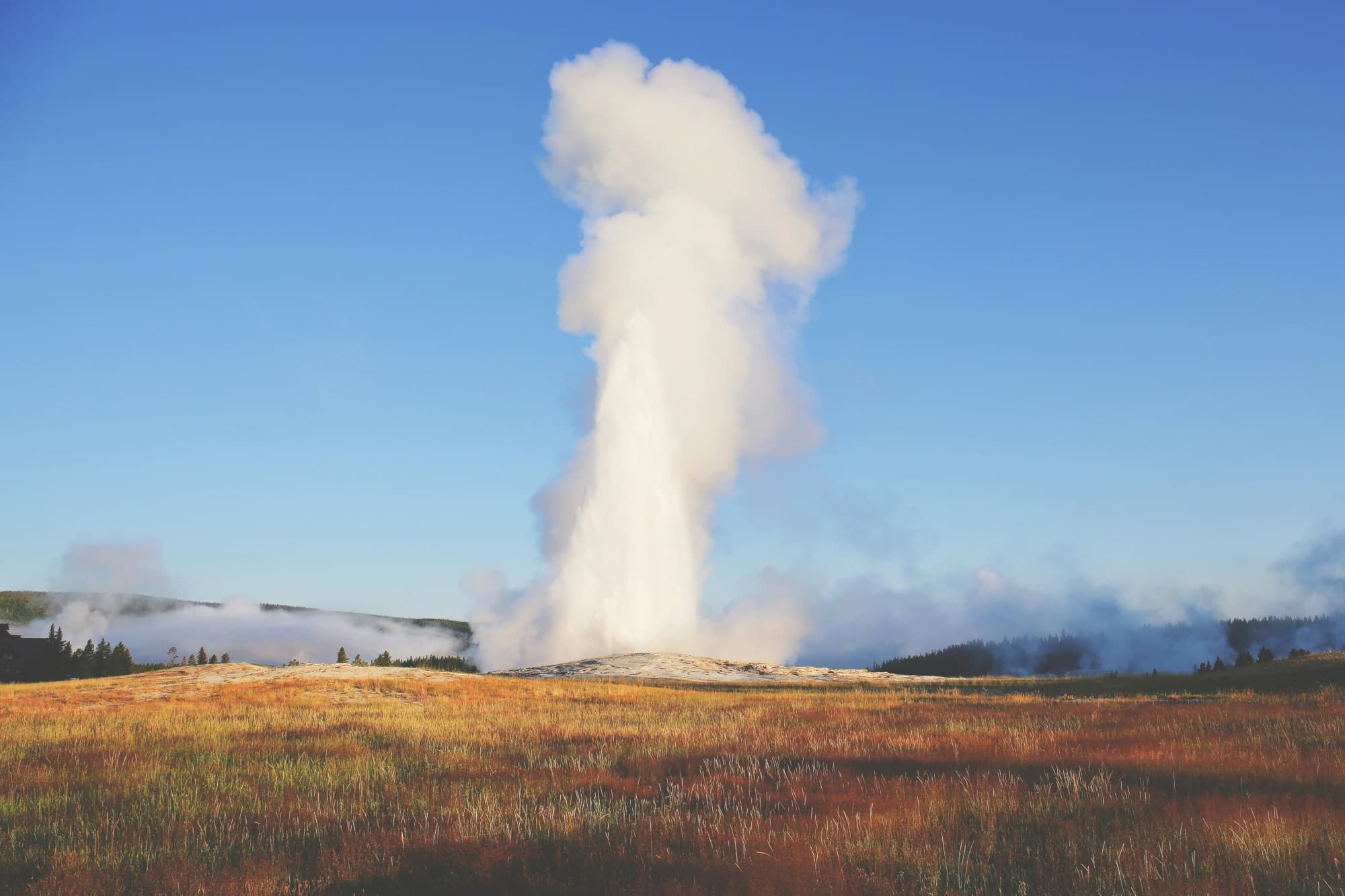 geyser shooting up into the air in the middle of a meadow