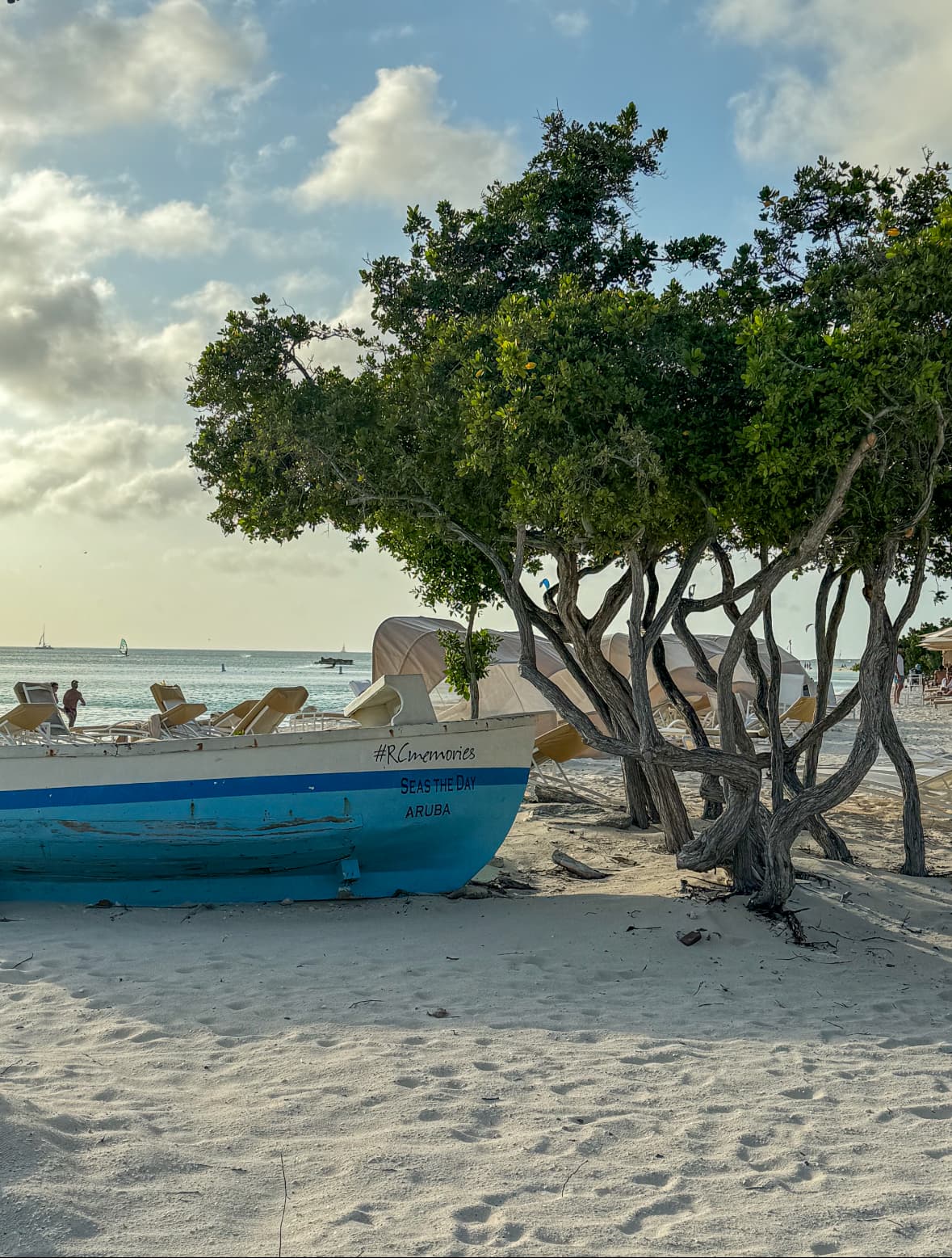 View of the beach with a docked blue and white small boat and large tree
