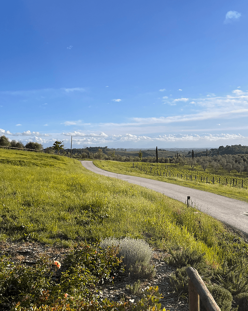 A narrow, village road leading to stunning scenery of Tuscany on a sunny day.