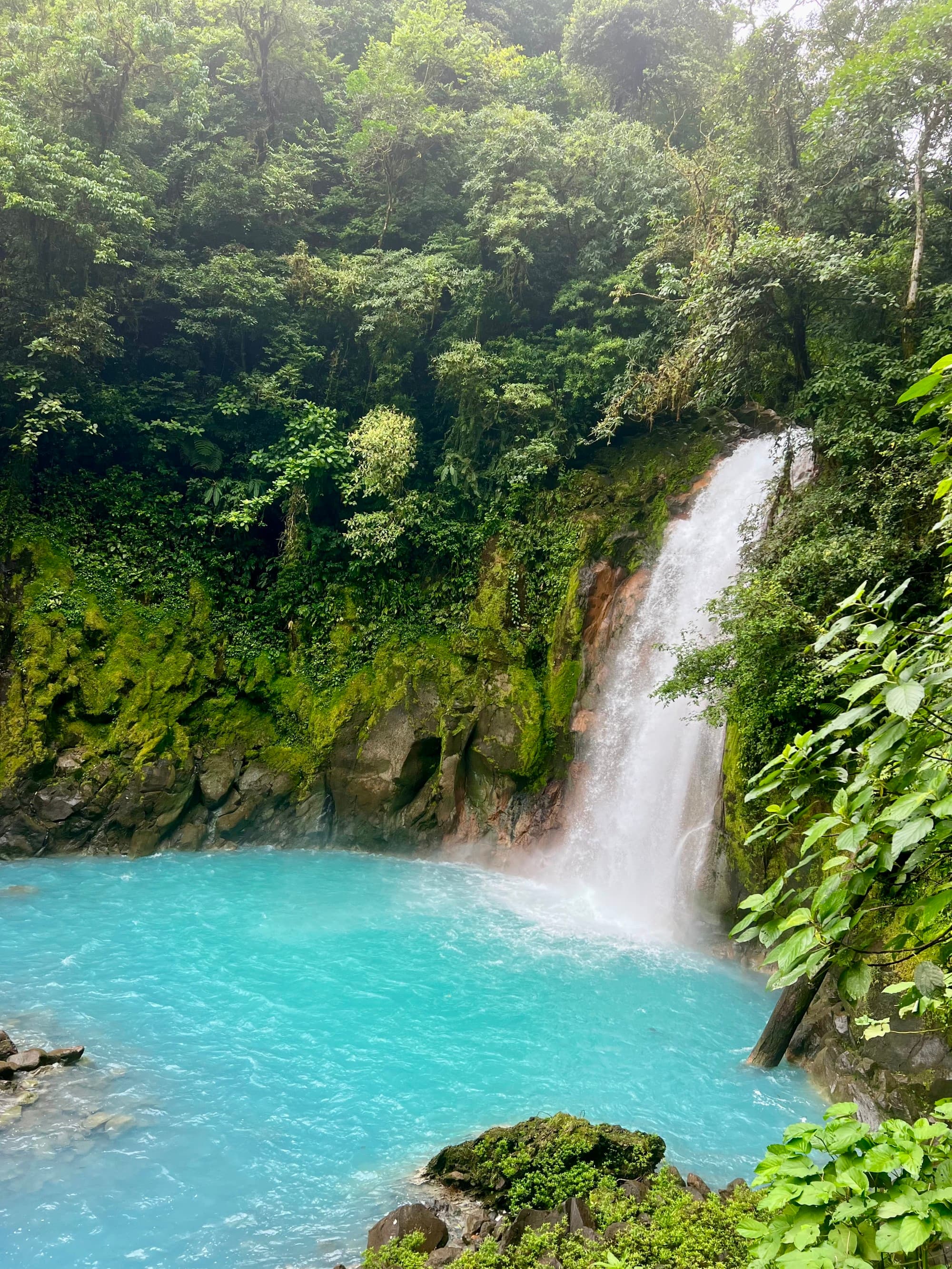 A waterfall cascading down into an azure pool, surrounded by a lush, emerald, tropical forest.