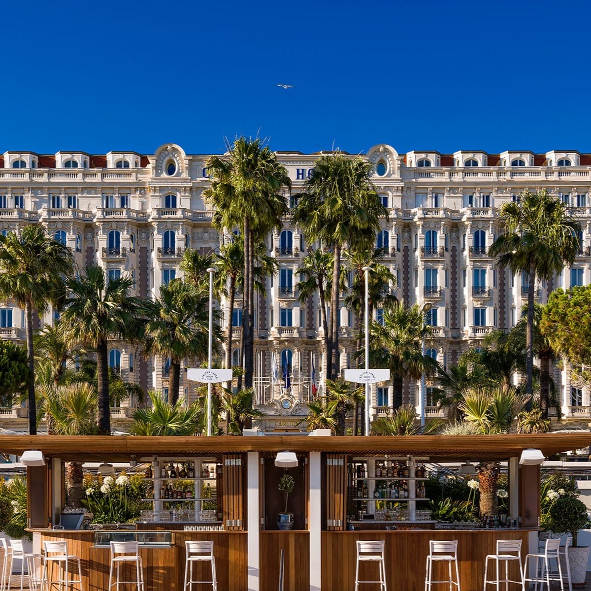 a regal palace flanked by palm trees on a sunny day