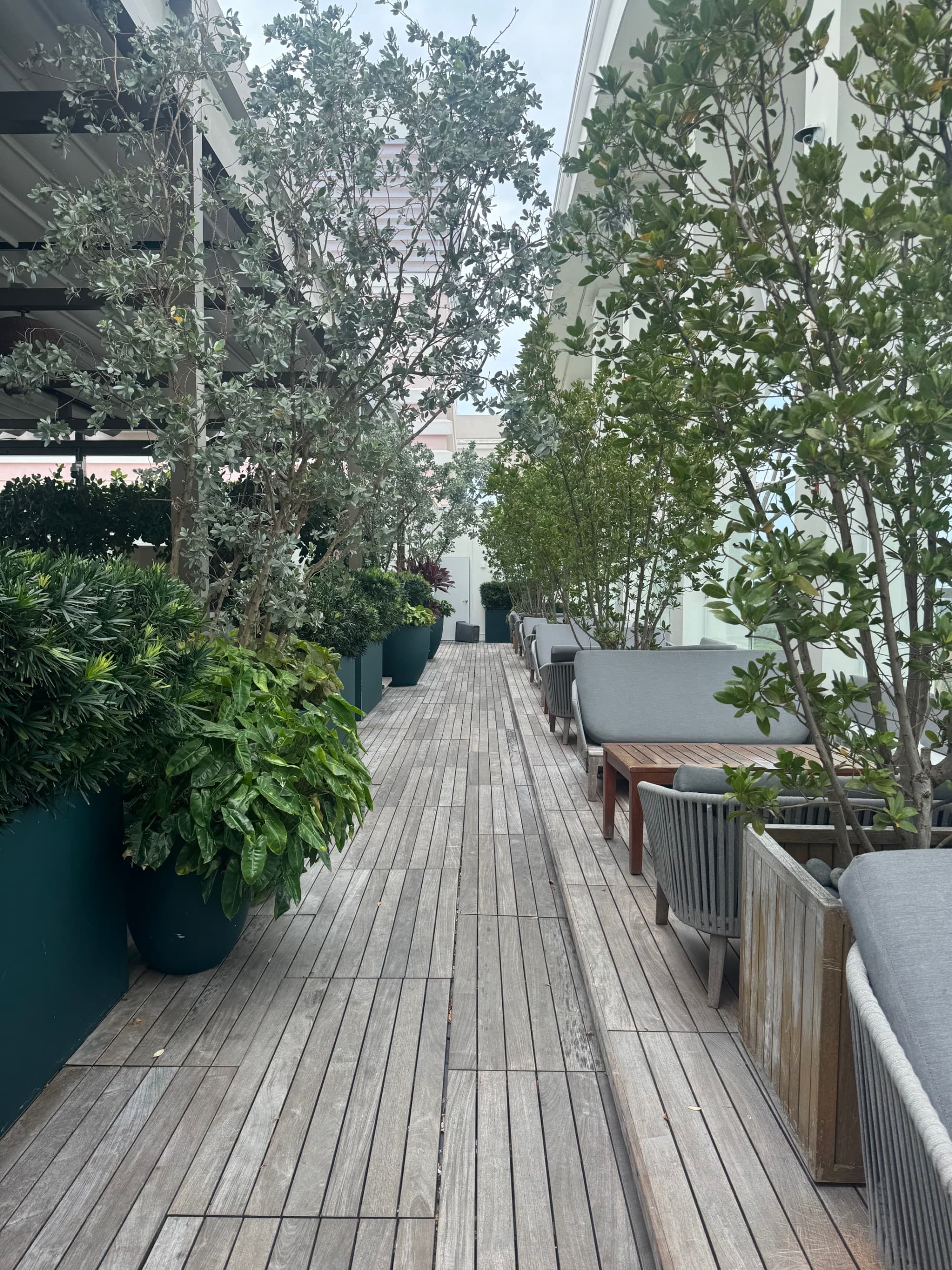 An image of a wooden pathway with lounge seating and a hotel bar surrounded by plants and trees.