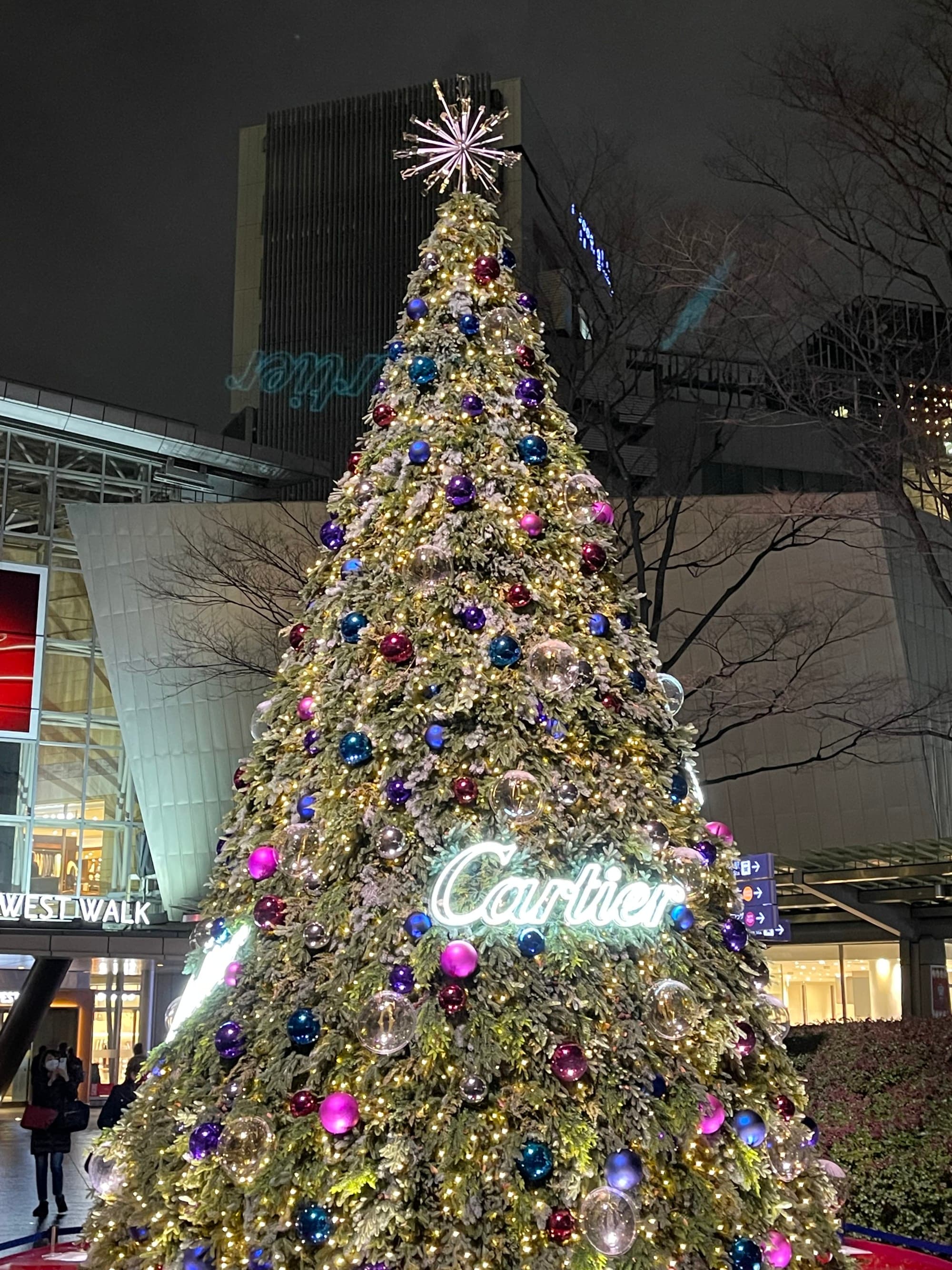A tall, decorated Christmas tree