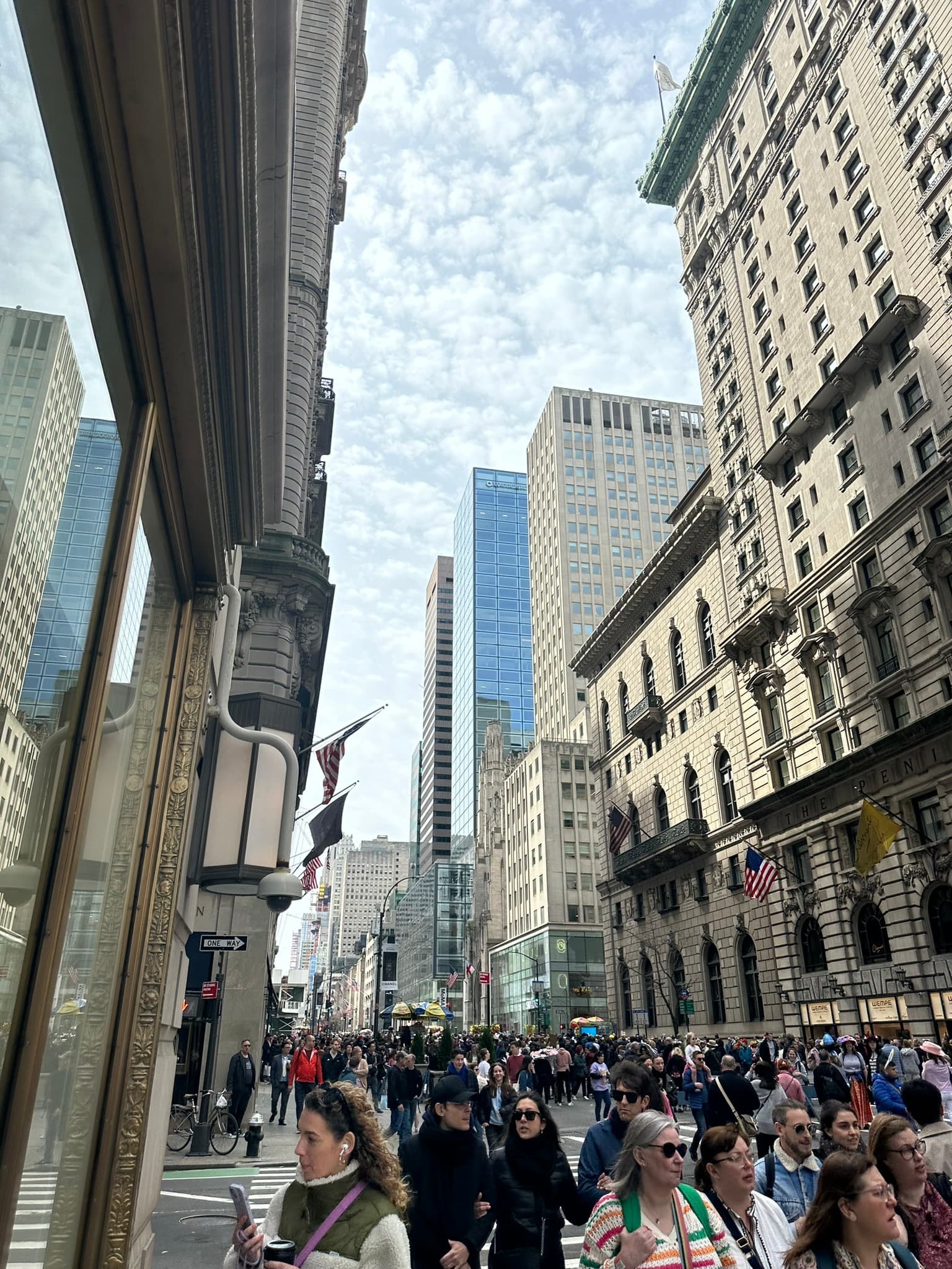 NYC street - Shelly Maffia