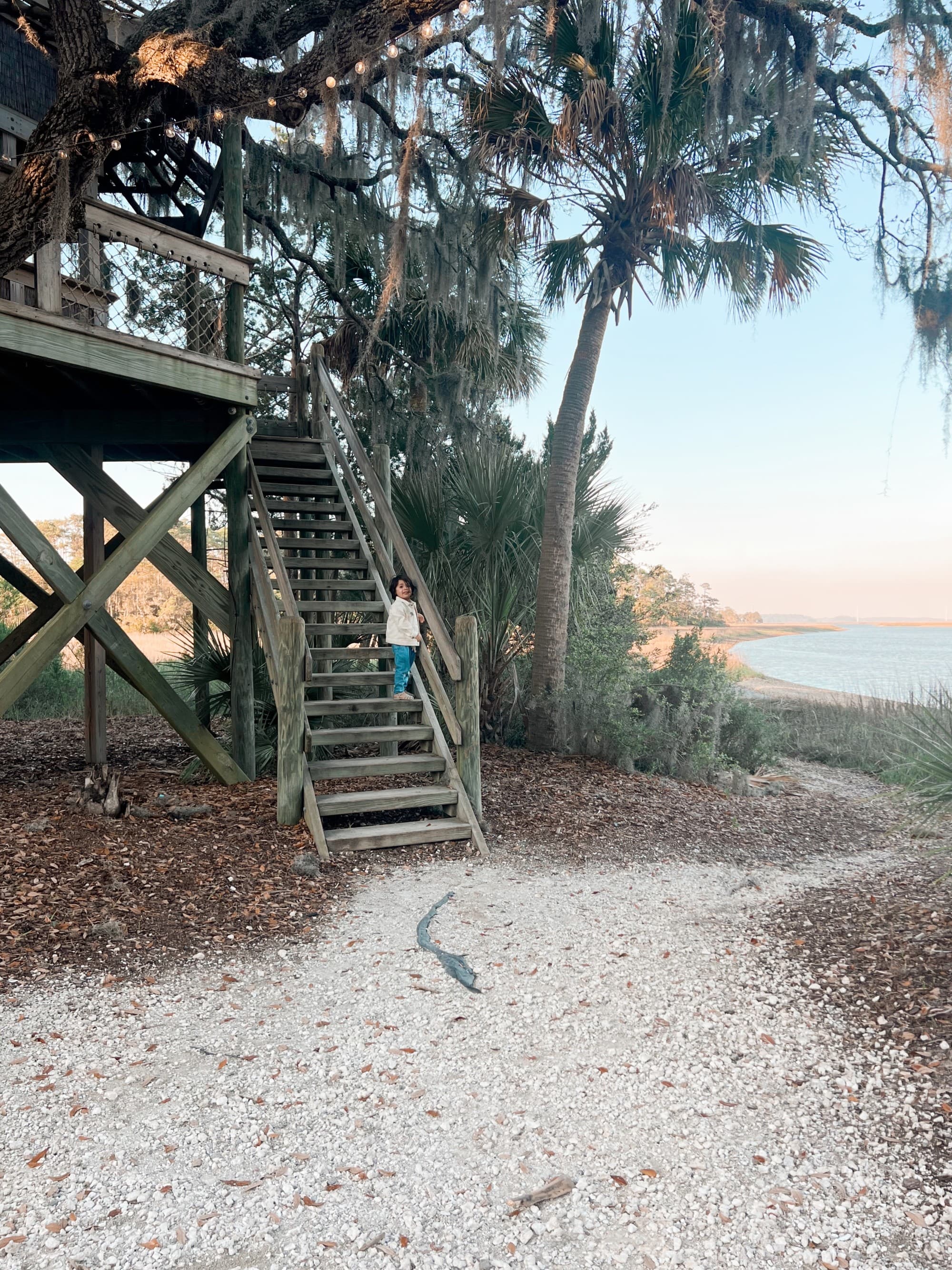 treehouse - Paloma Lopes