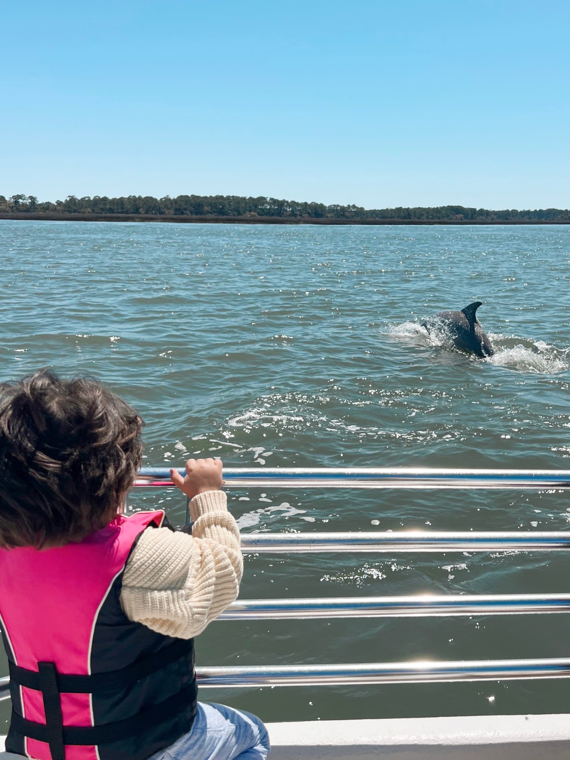 Dolphins on dafuski island tour - Paloma Lopes