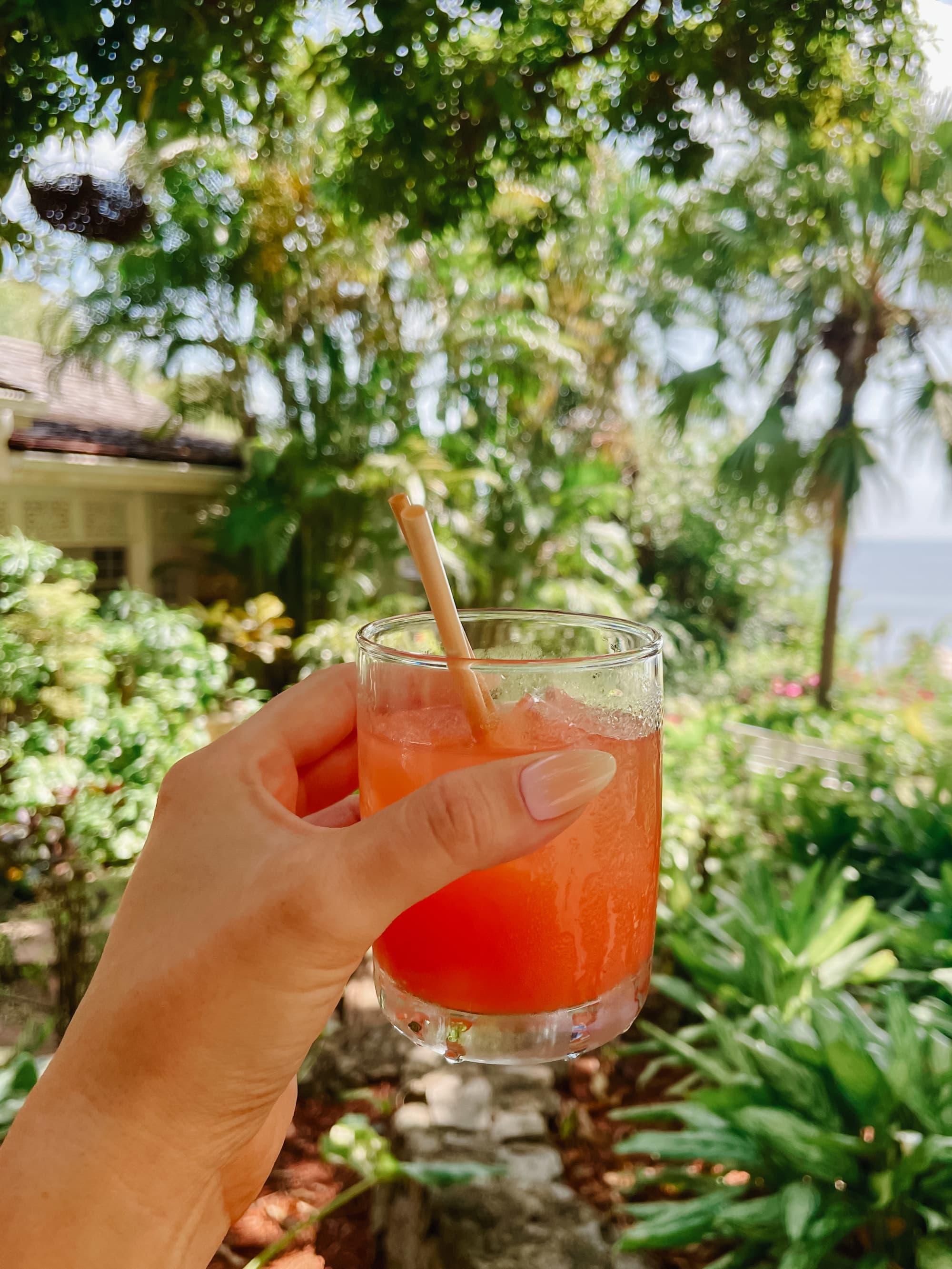 A hand holding up an orange drink in front of greenery