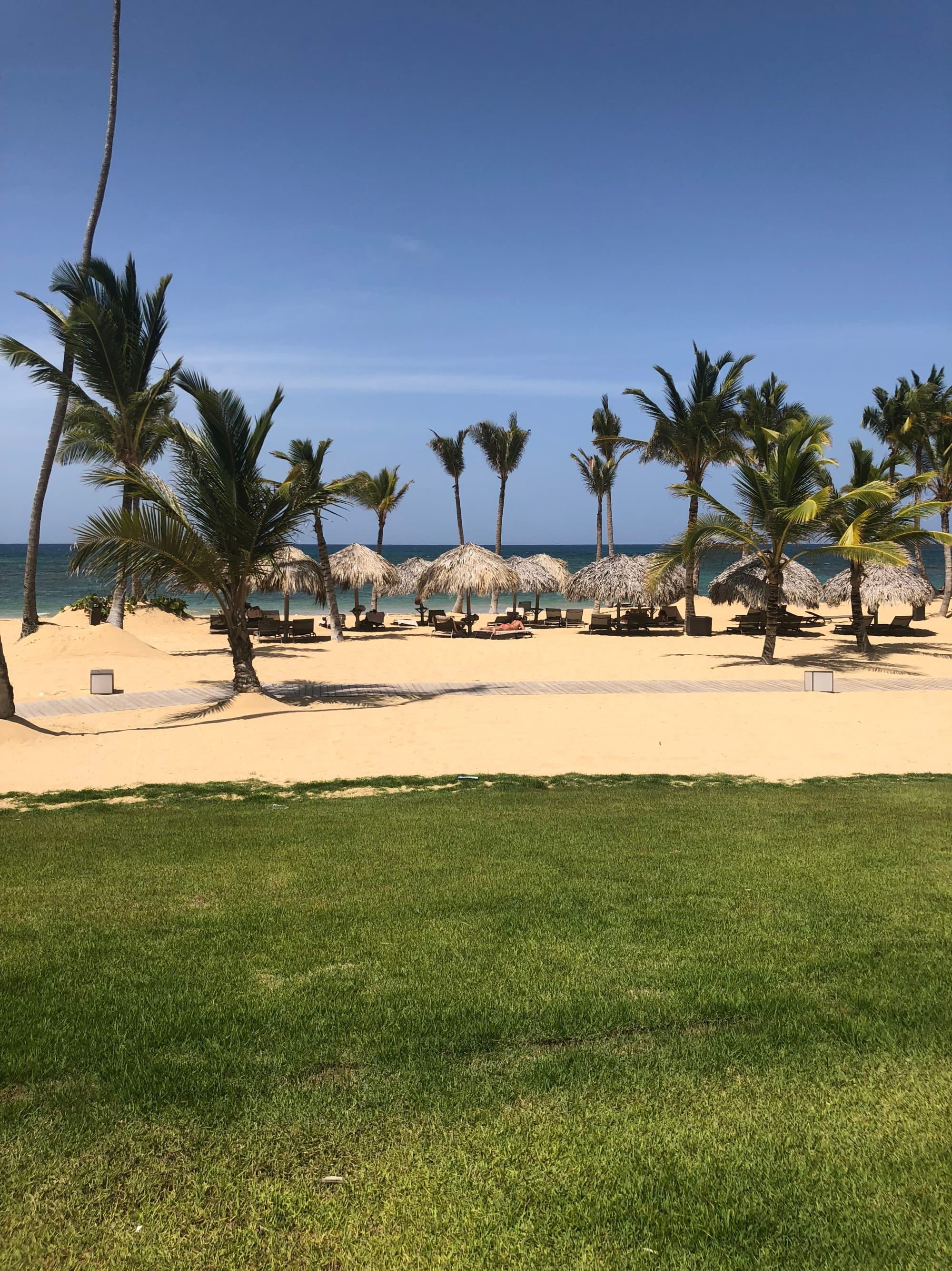 A view of the sandy beach with straw umbrellas, palm trees and the ocean in the distance.