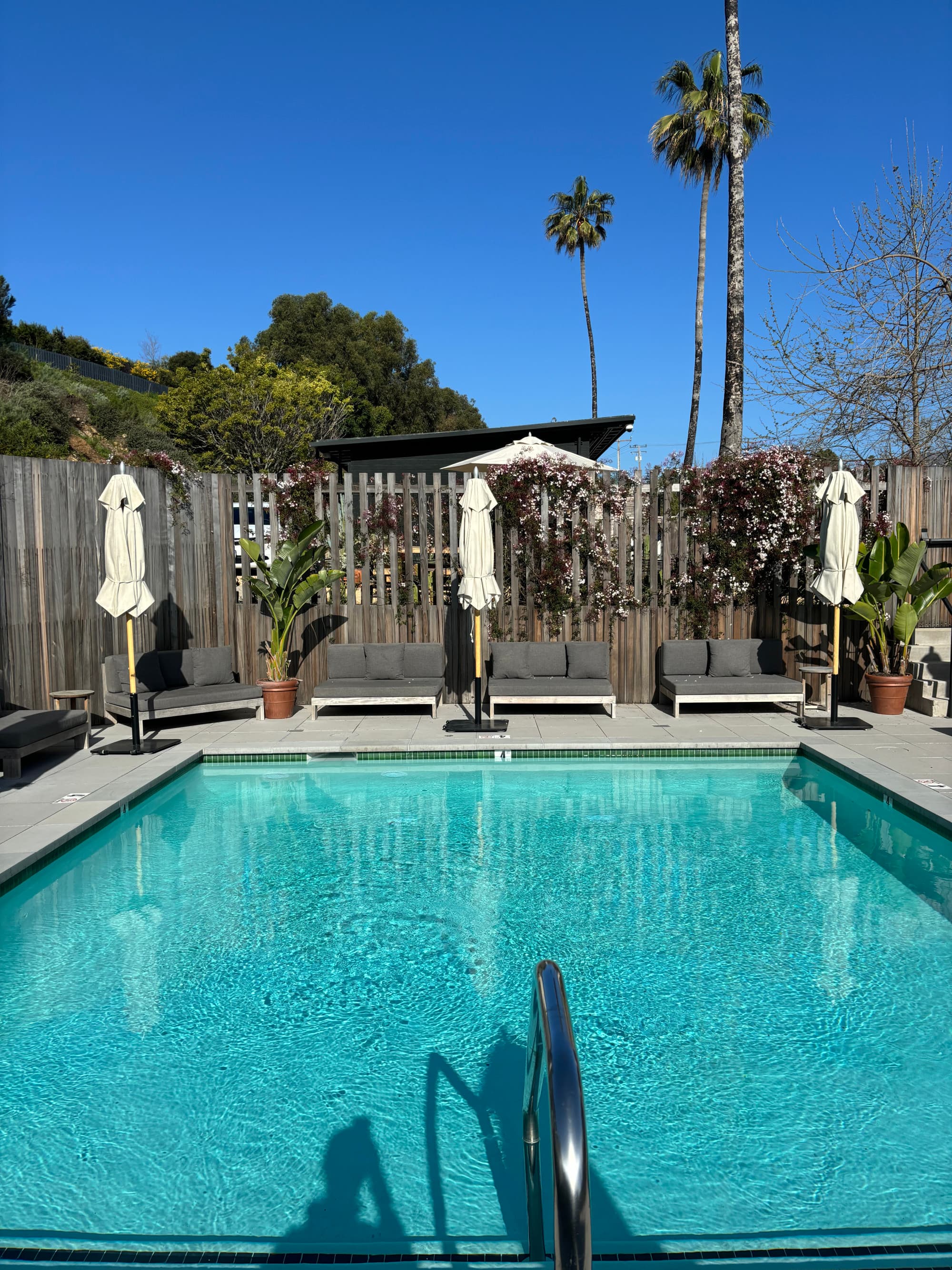 A swimming pool with umbrellas, potted plants and a wooden fence in the distance beneath palm trees.