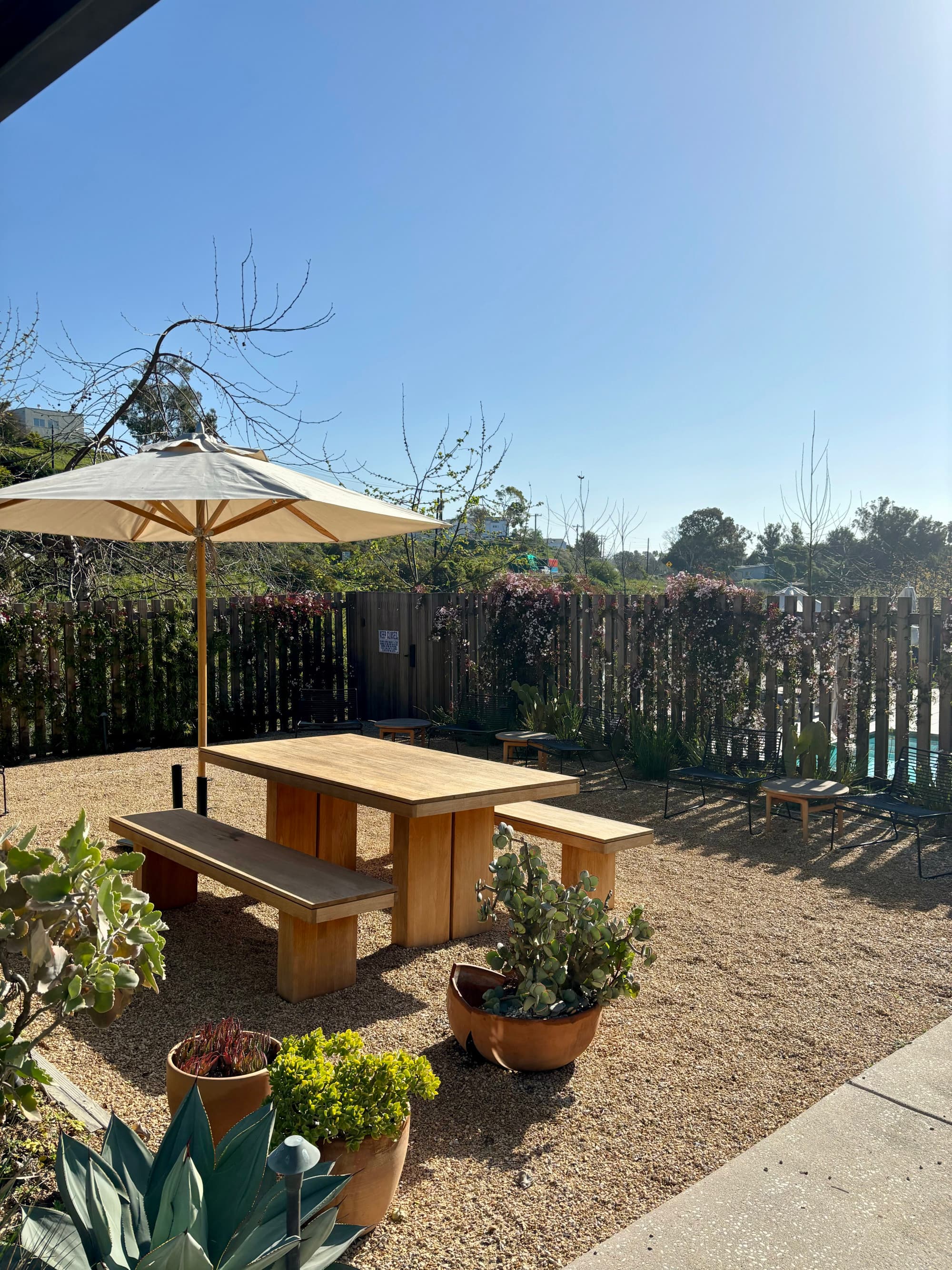 A wooden table and bench beneath a white umbrella and next to potted plants outside.