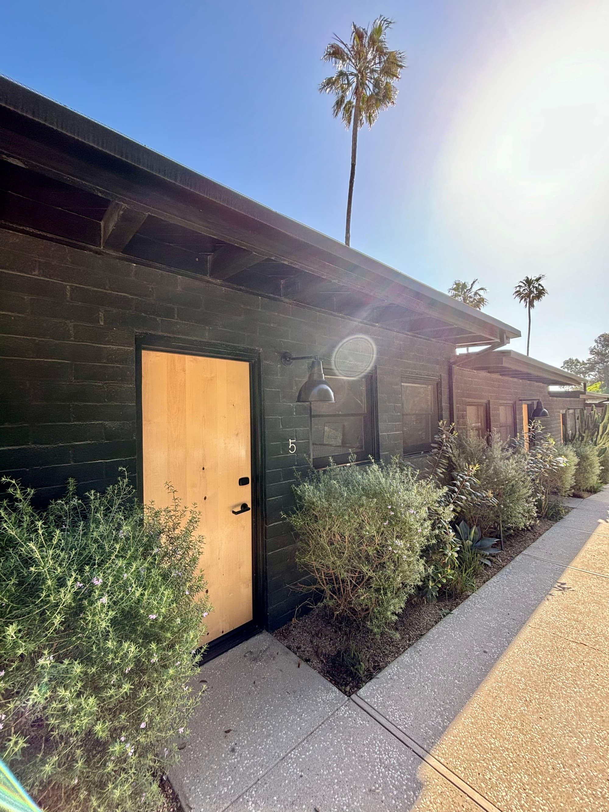 A black bungalow with a wooden door, bushes and palm trees in the background.