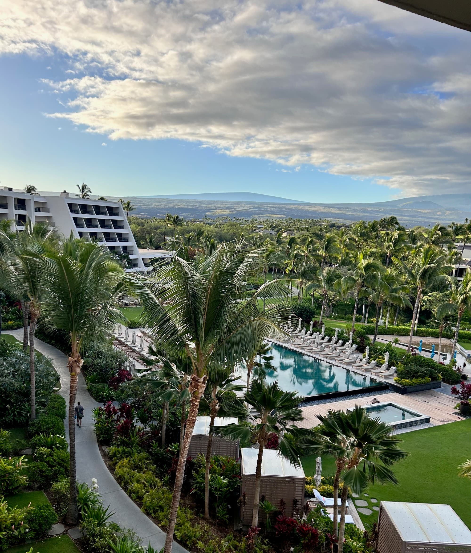 Area view of a resort area with a pool area surrounded by palm trees