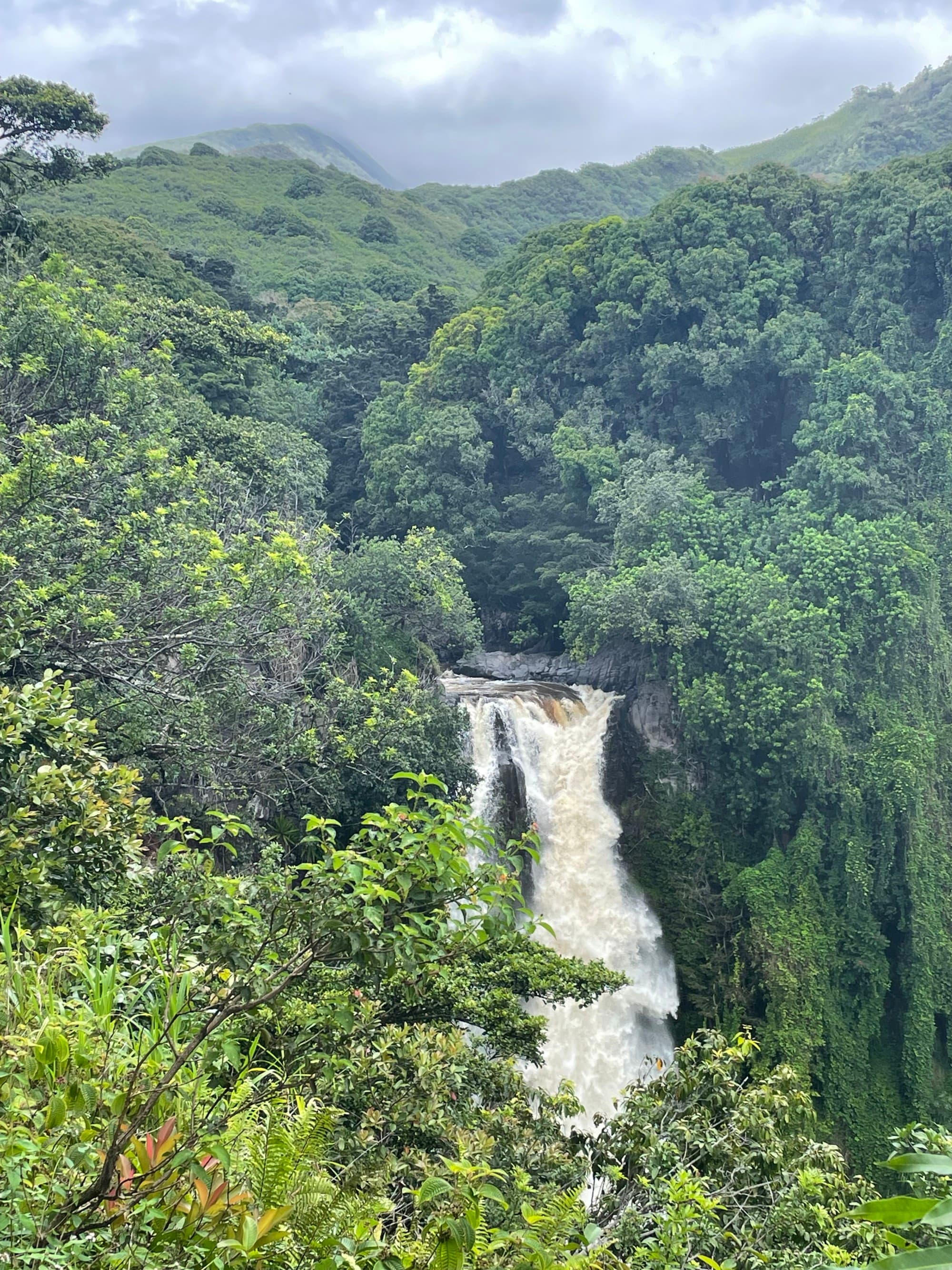 road to Hana - Brittany Abeyta