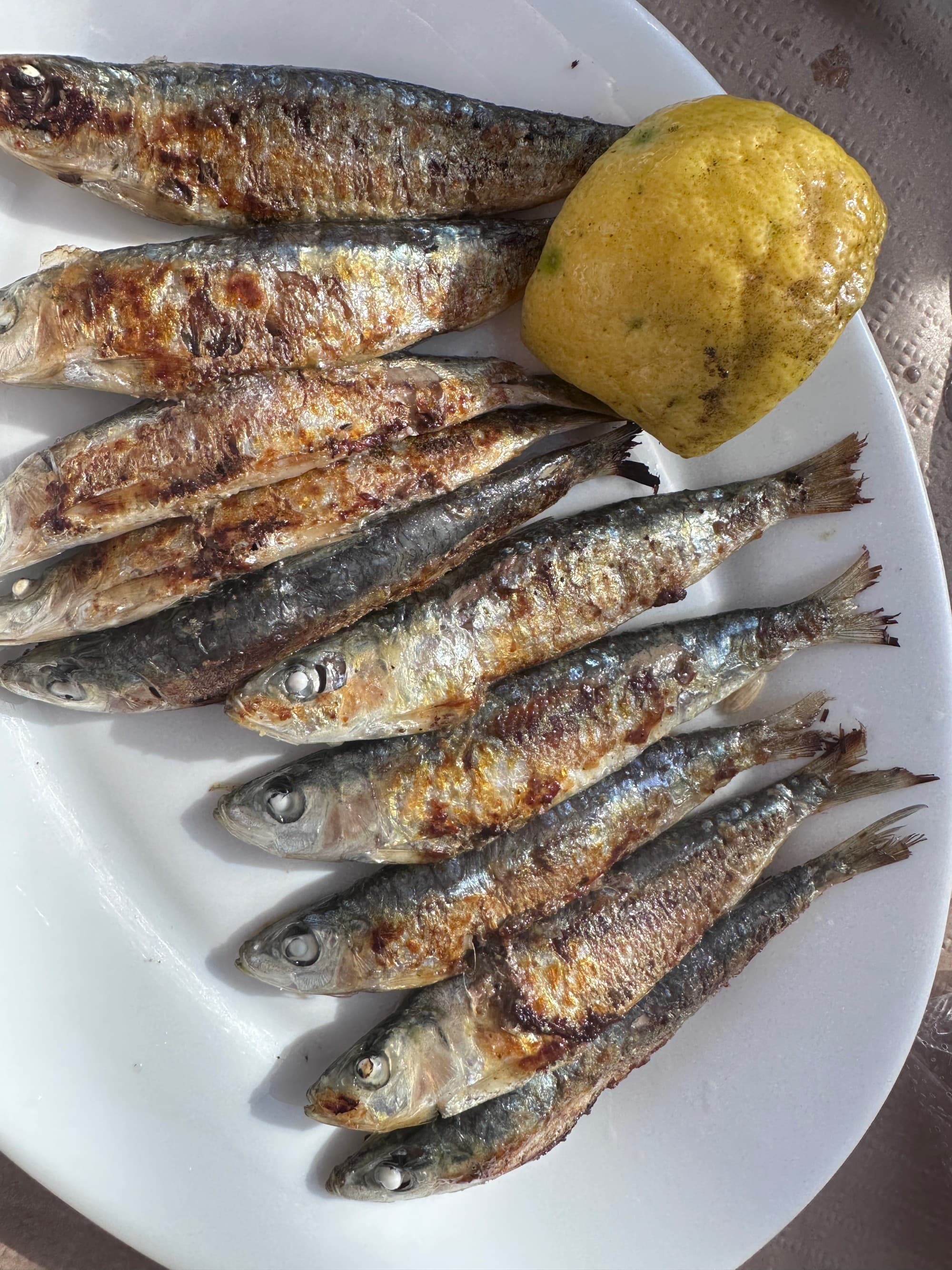 Grilled Anchovies - Lara Kudryk-Traska