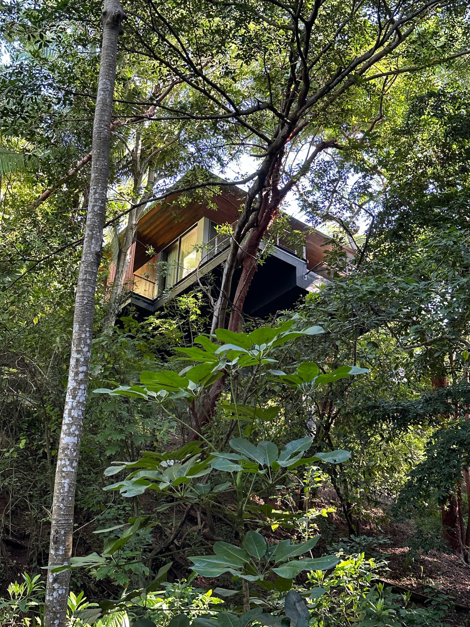 Treehouse Villa - Tarika Richter
