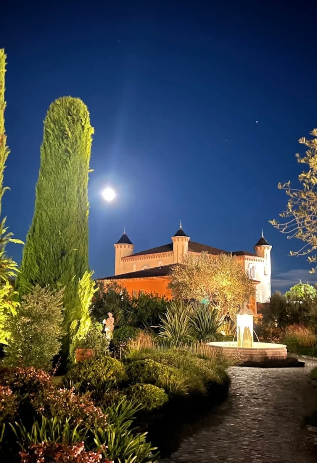 Night View of the Moon
