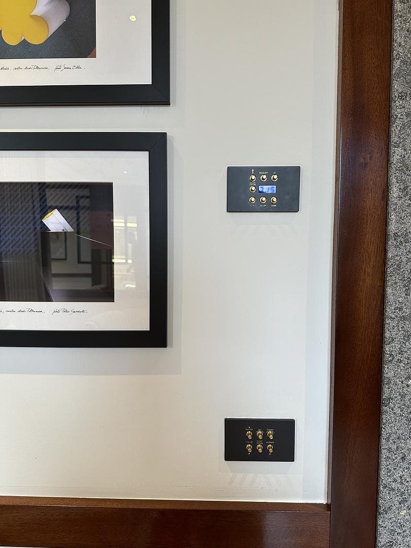 Protected art in the gallery