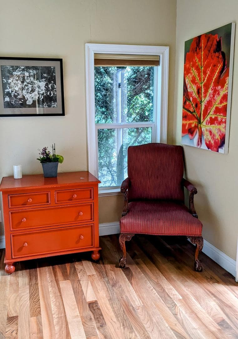 A splendid window view