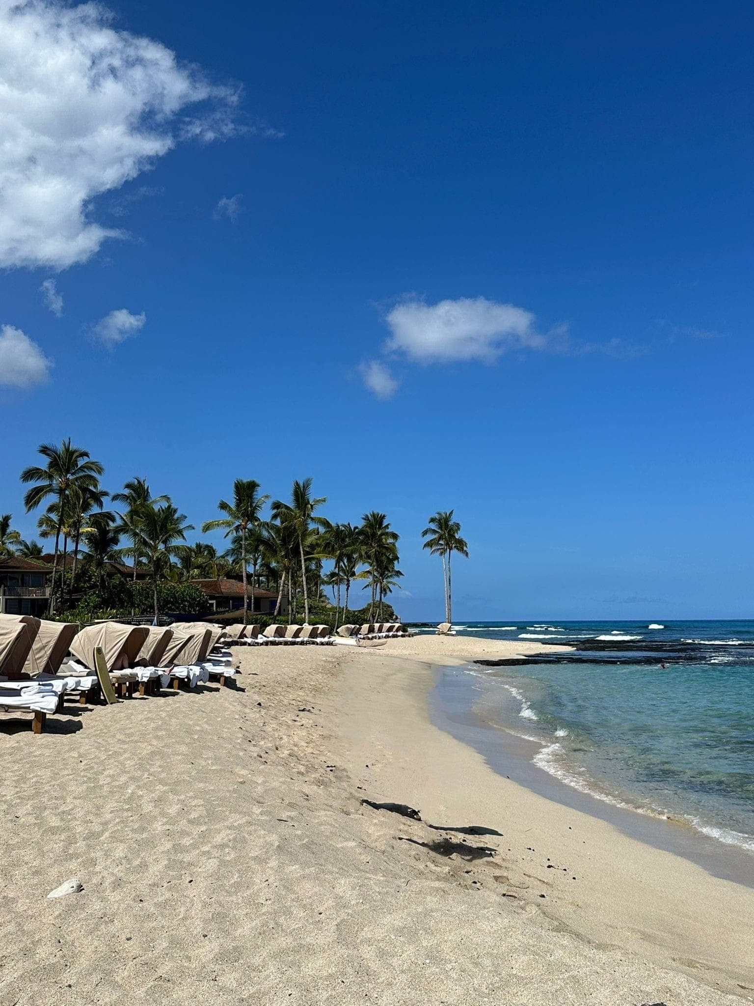Sea and seaside view