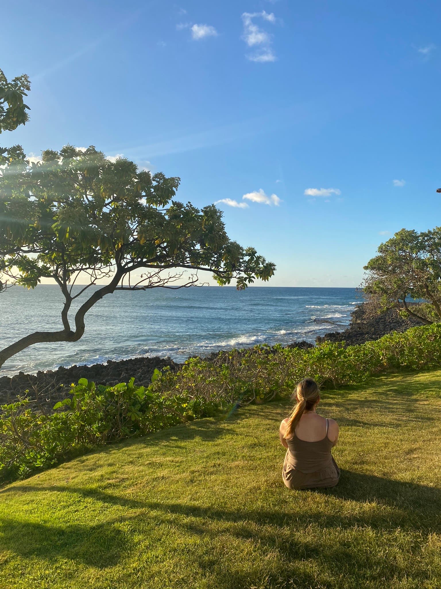 Green view of turtle bay