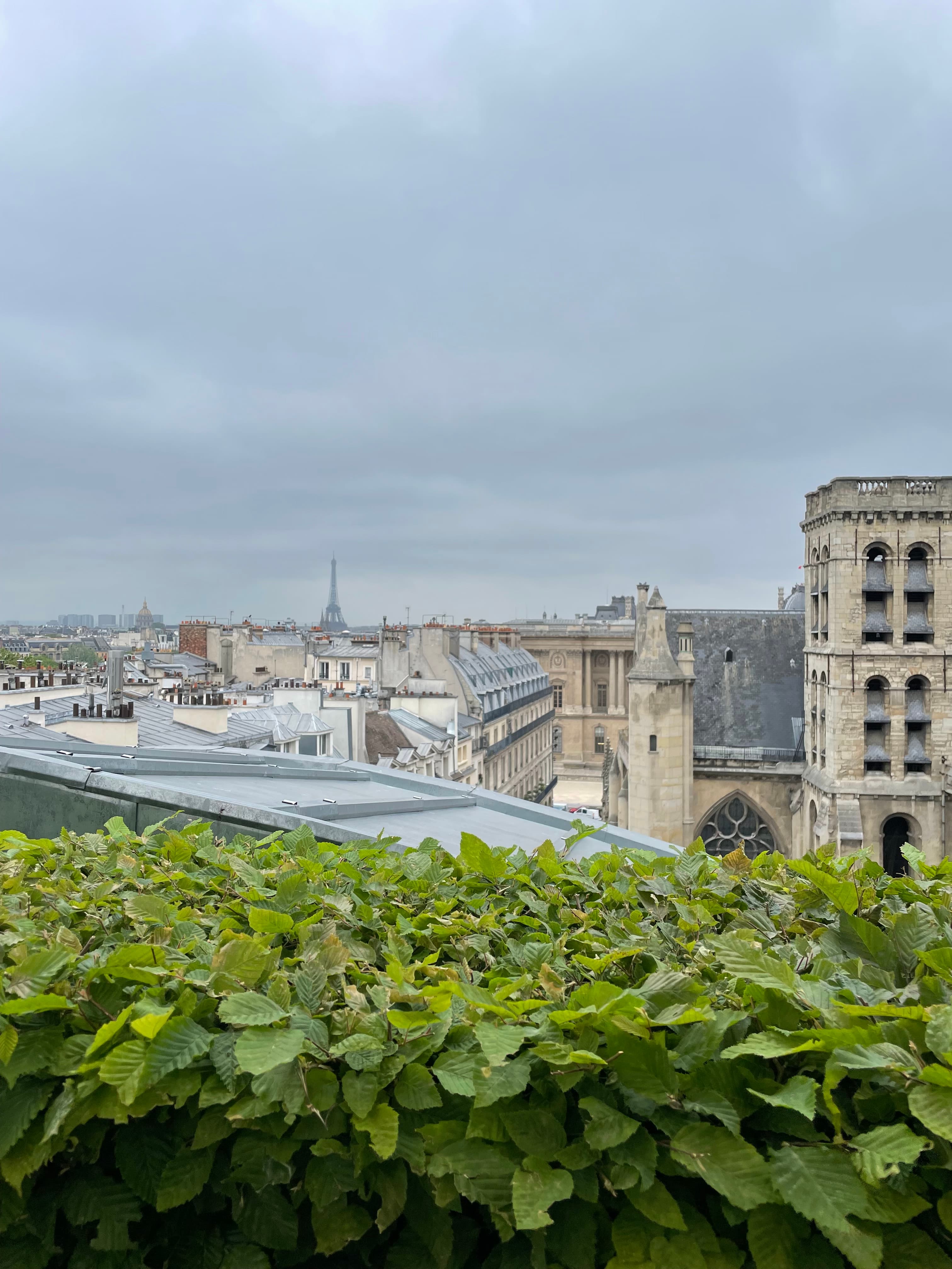View from the terrace