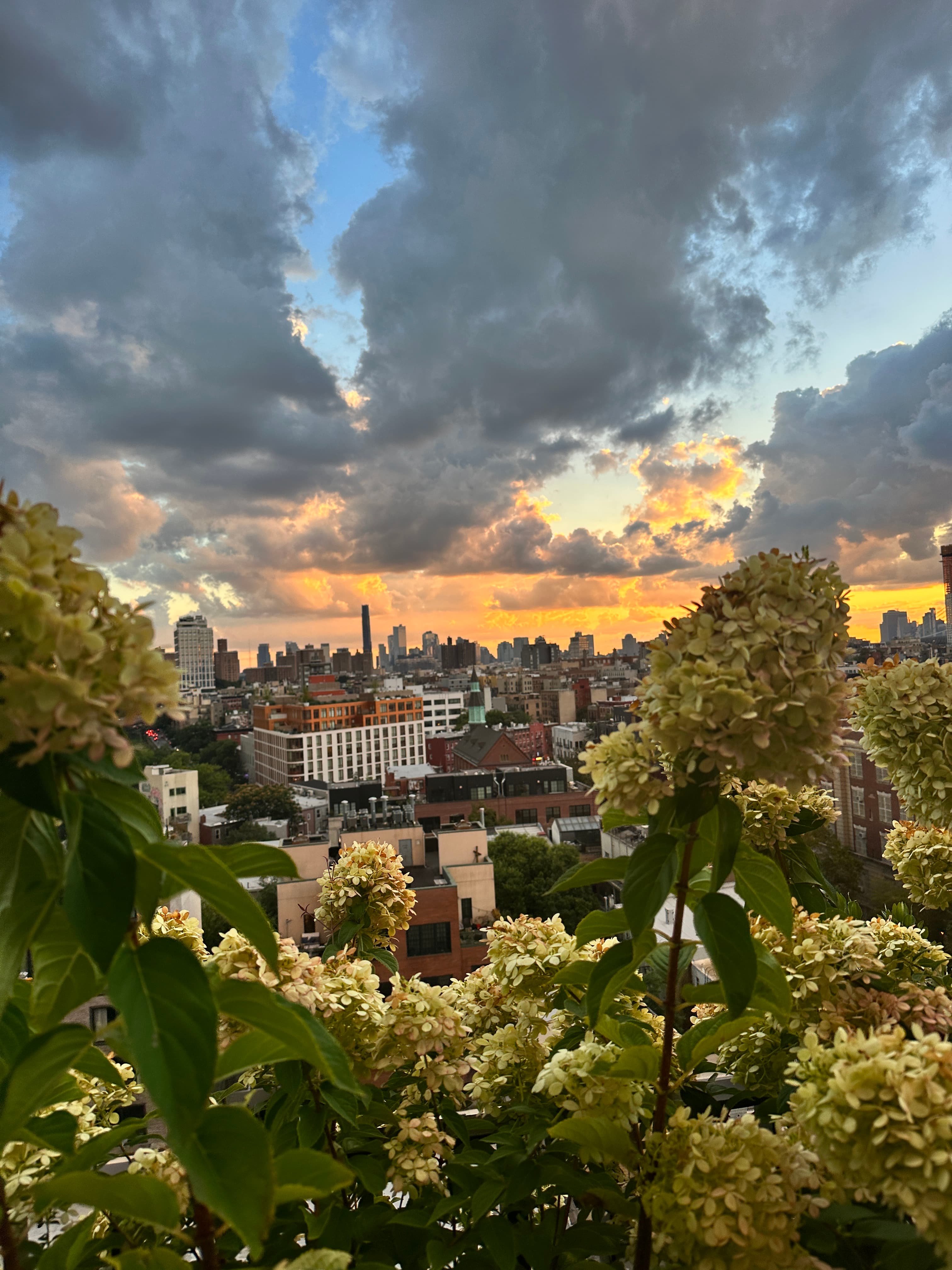 Penny elNico sunset 2