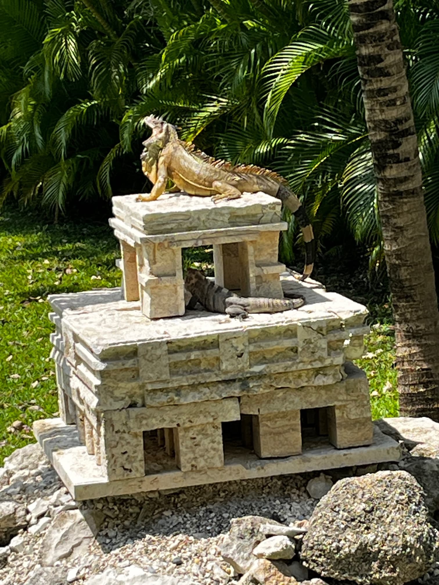 Kings and Queens of the property!