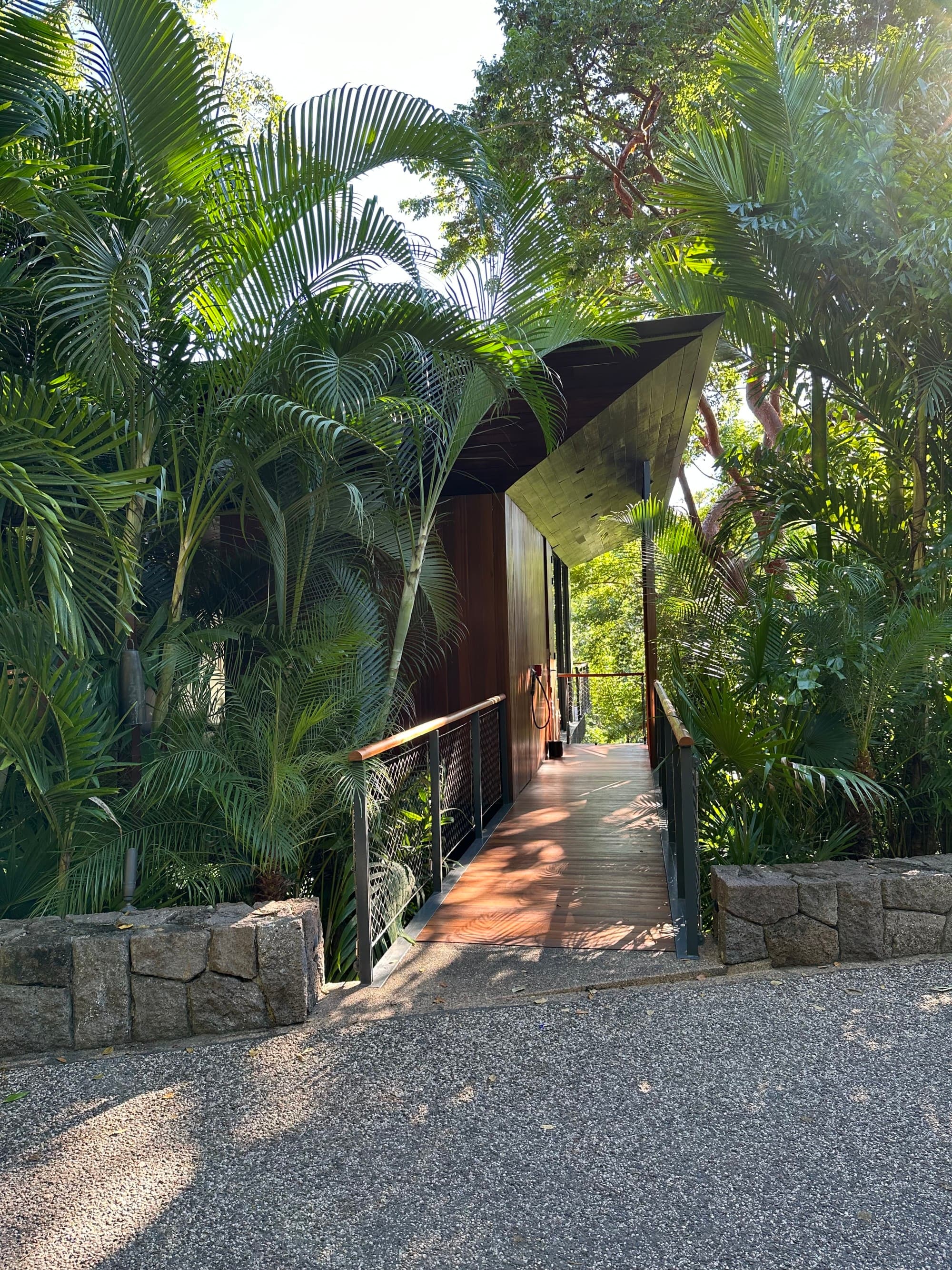 Treetop entrance - Tarika Richter