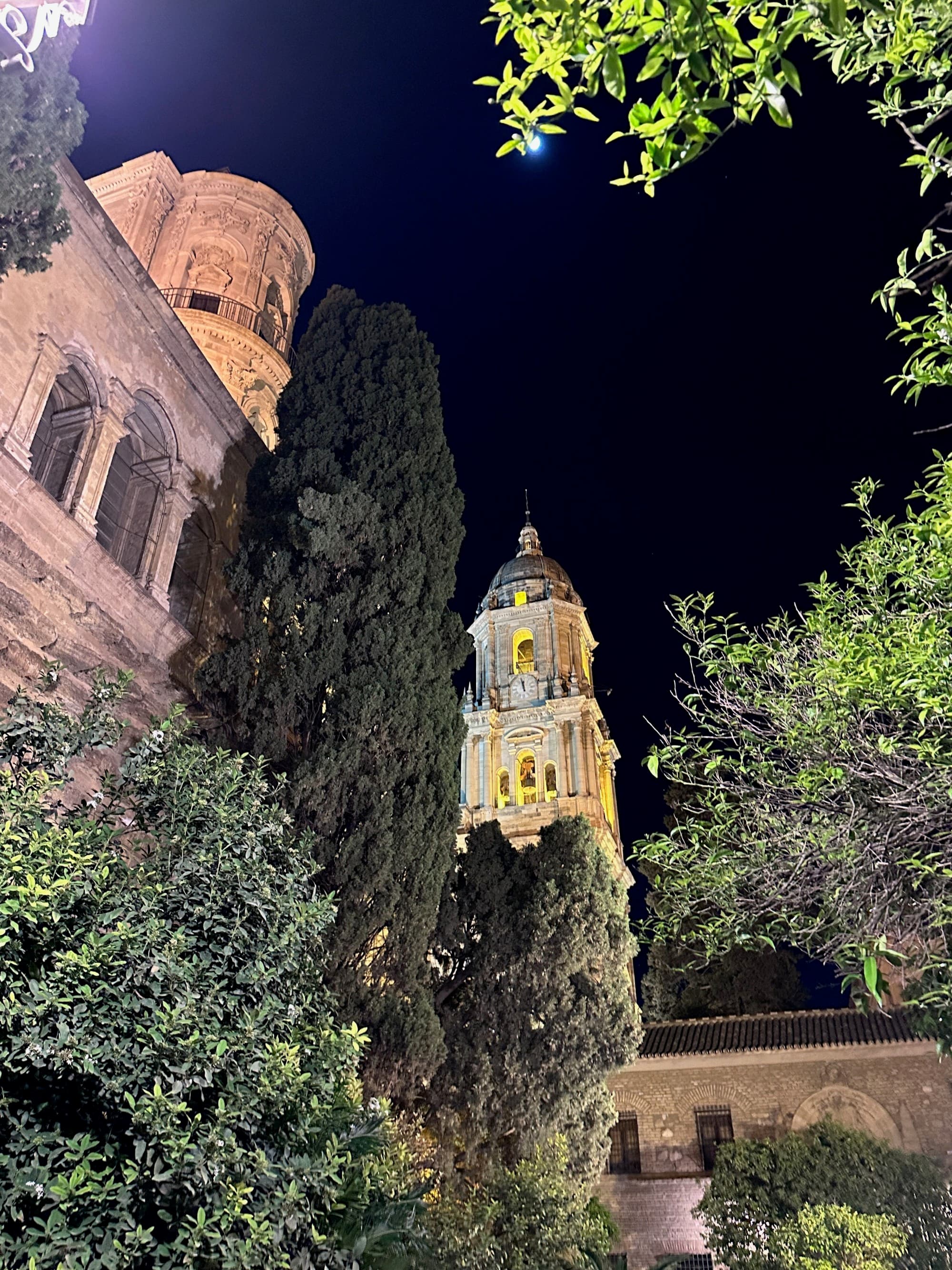 Malaga Cathedral at night - Lara Kudryk-Traska