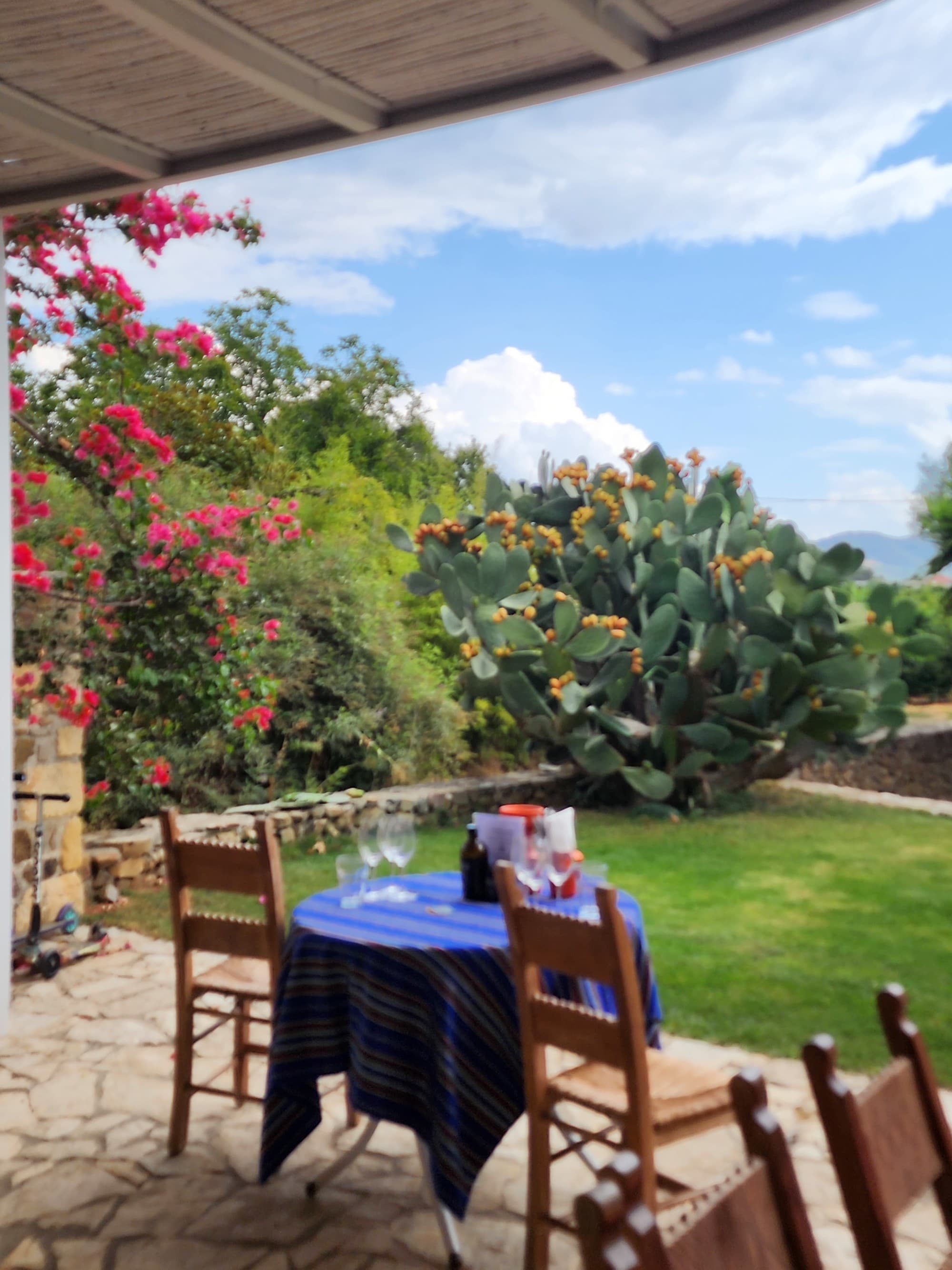 Outside sitting area and garden view