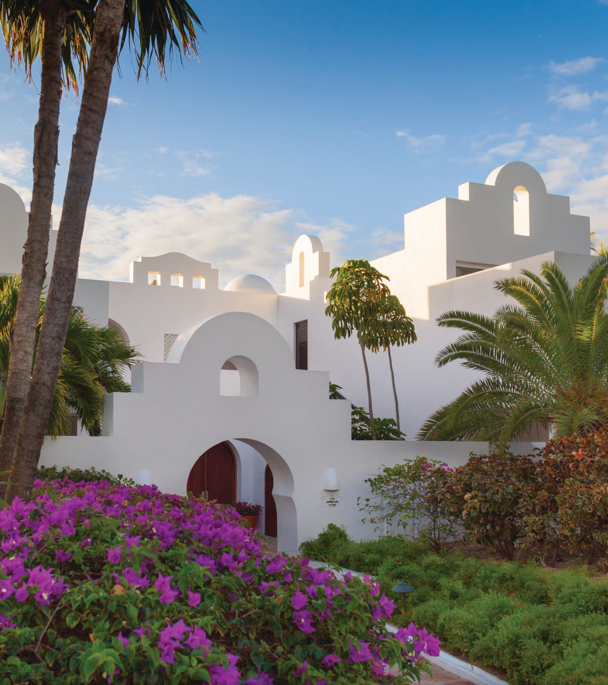 white curved building behind a bush of pink flowers