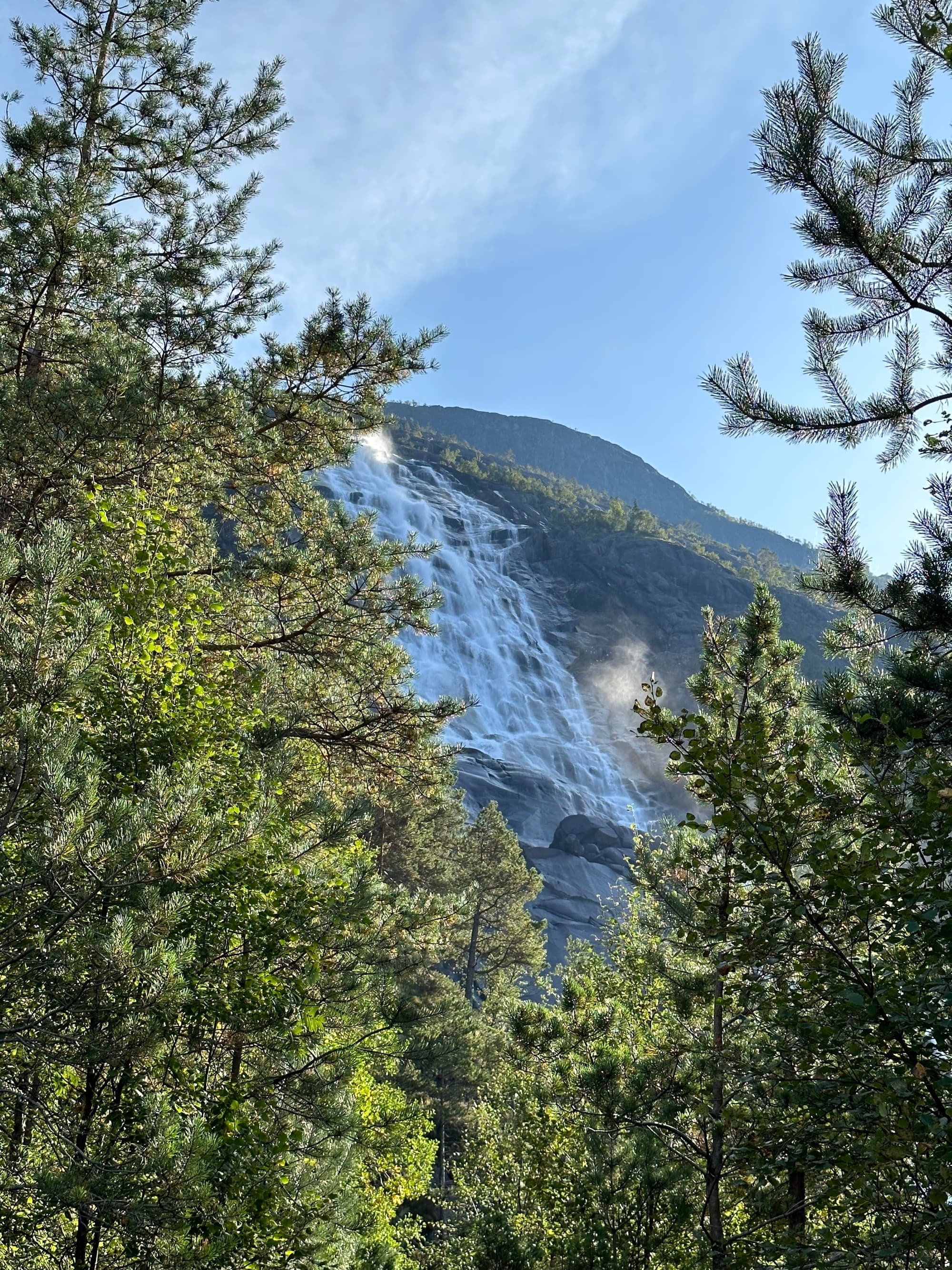 View of a waterfall through large green trees