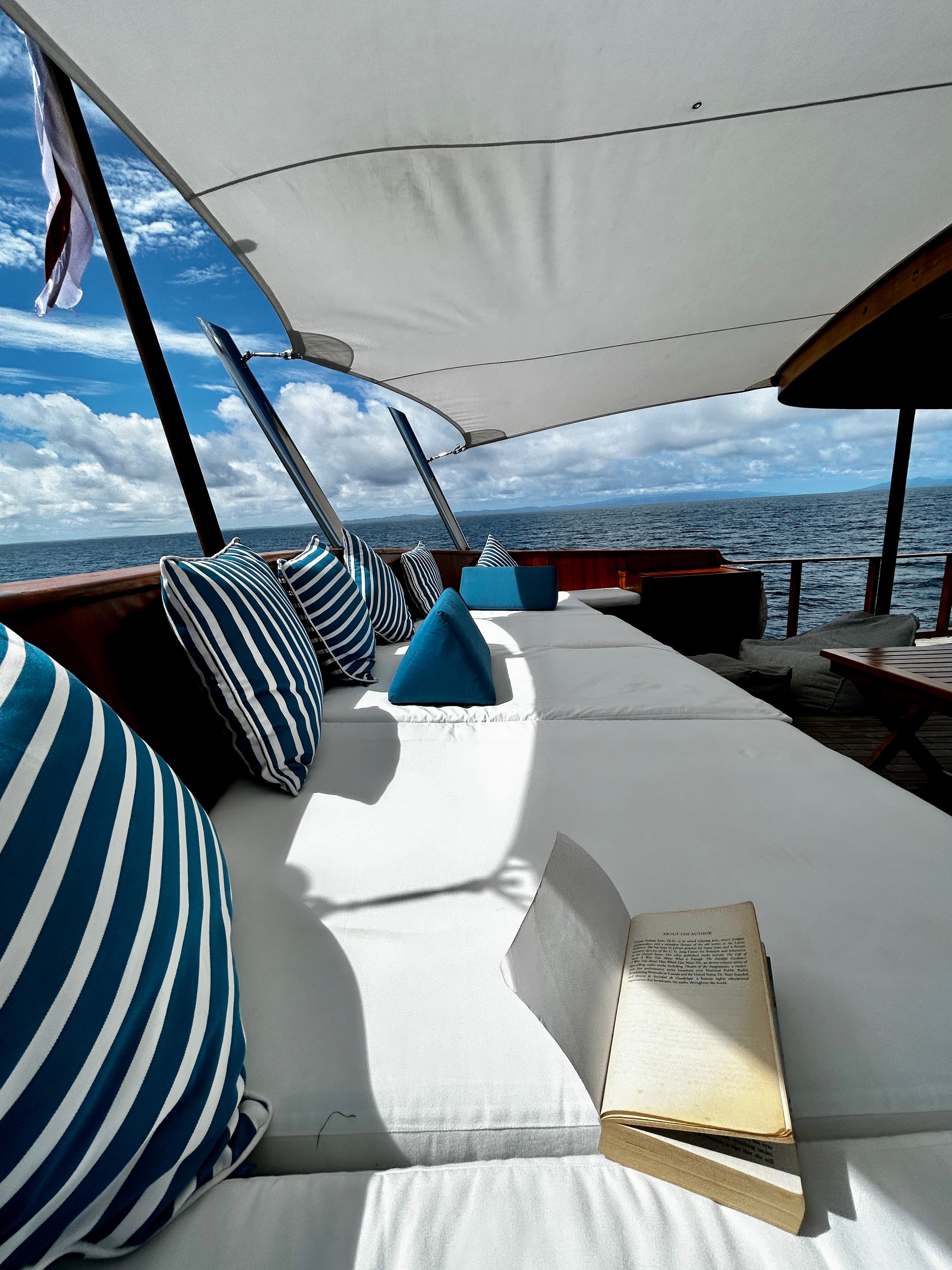 Outside deck of the Rascal Yacht with plush cushions, outdoor furniture and the sea in the distance.