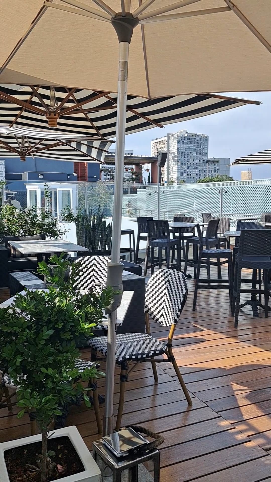 A wooden deck with lots of outdoor seating underneath various umbrellas. There are potted green plants and a cityscape in the surrounding areas.