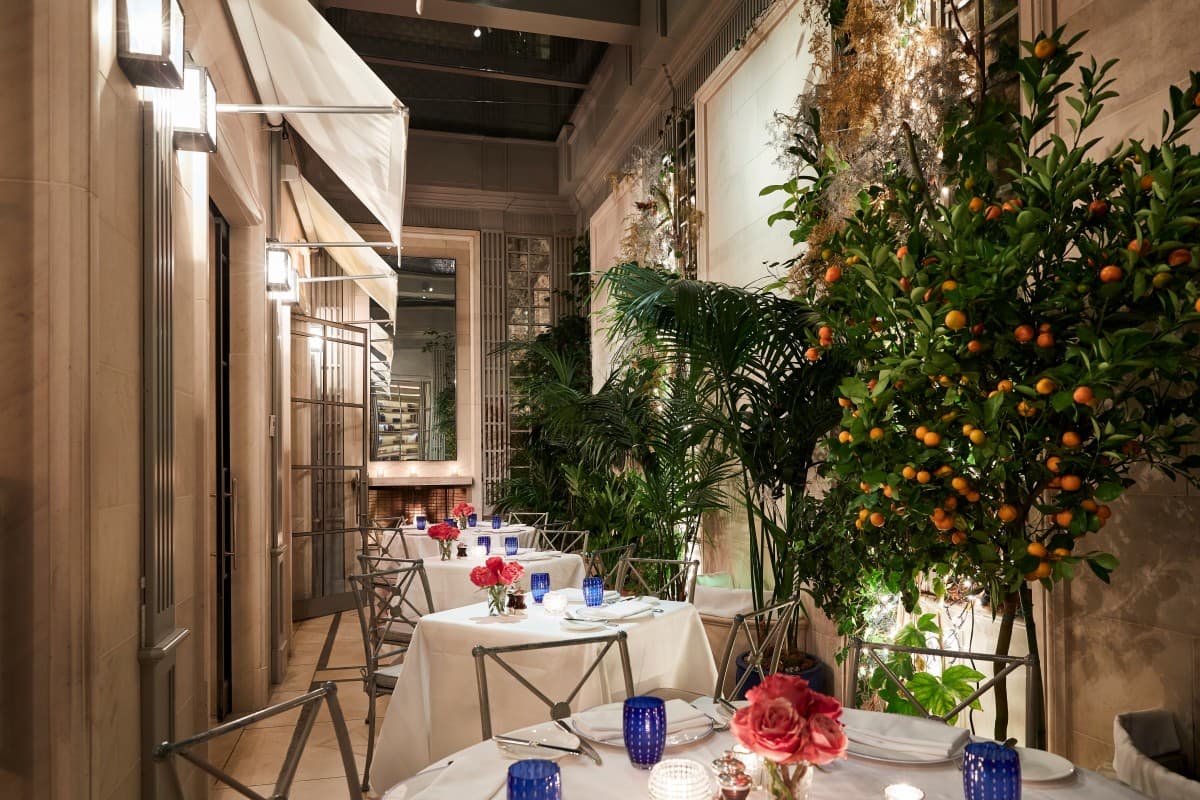 tables with white tablecloths in an elegant courtyard with an leafy green tree bearing oranges