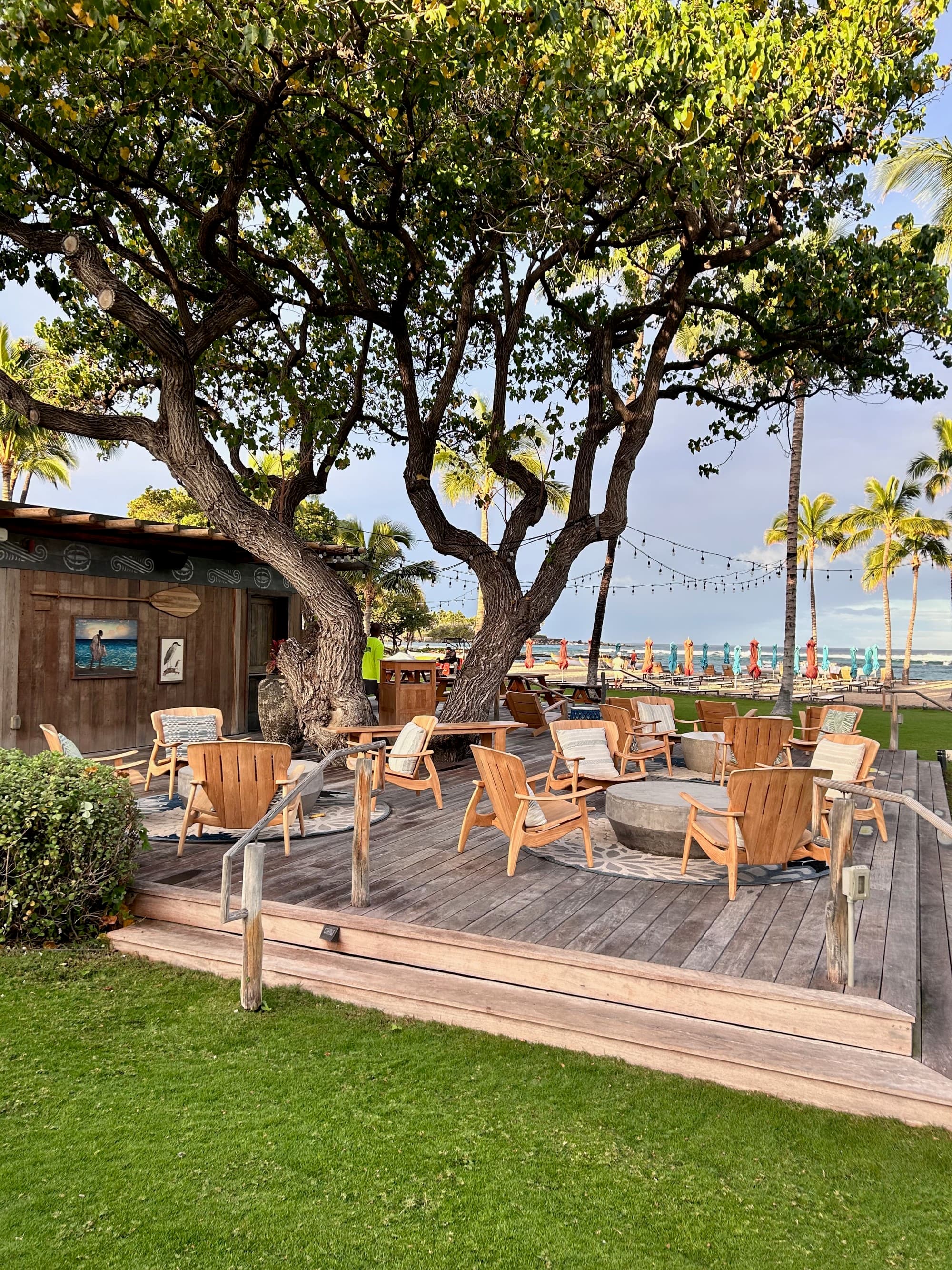 An outside seating area under a large tree