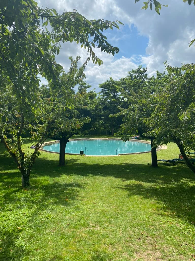 View of a garden and a pond in the distance